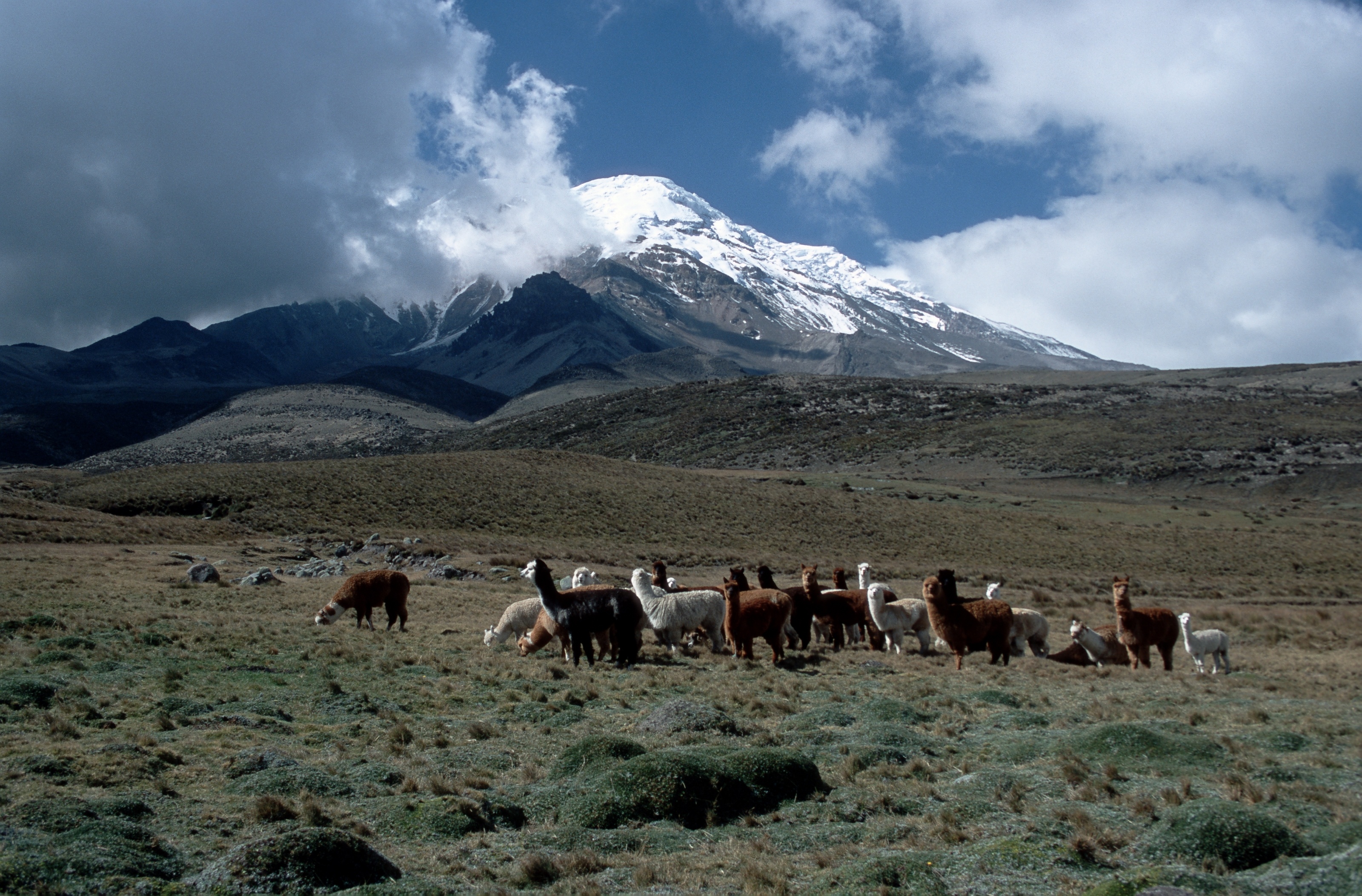 Chimborazo National Park, Majestic landscapes, Natural beauty, Enchanting views, 3200x2110 HD Desktop
