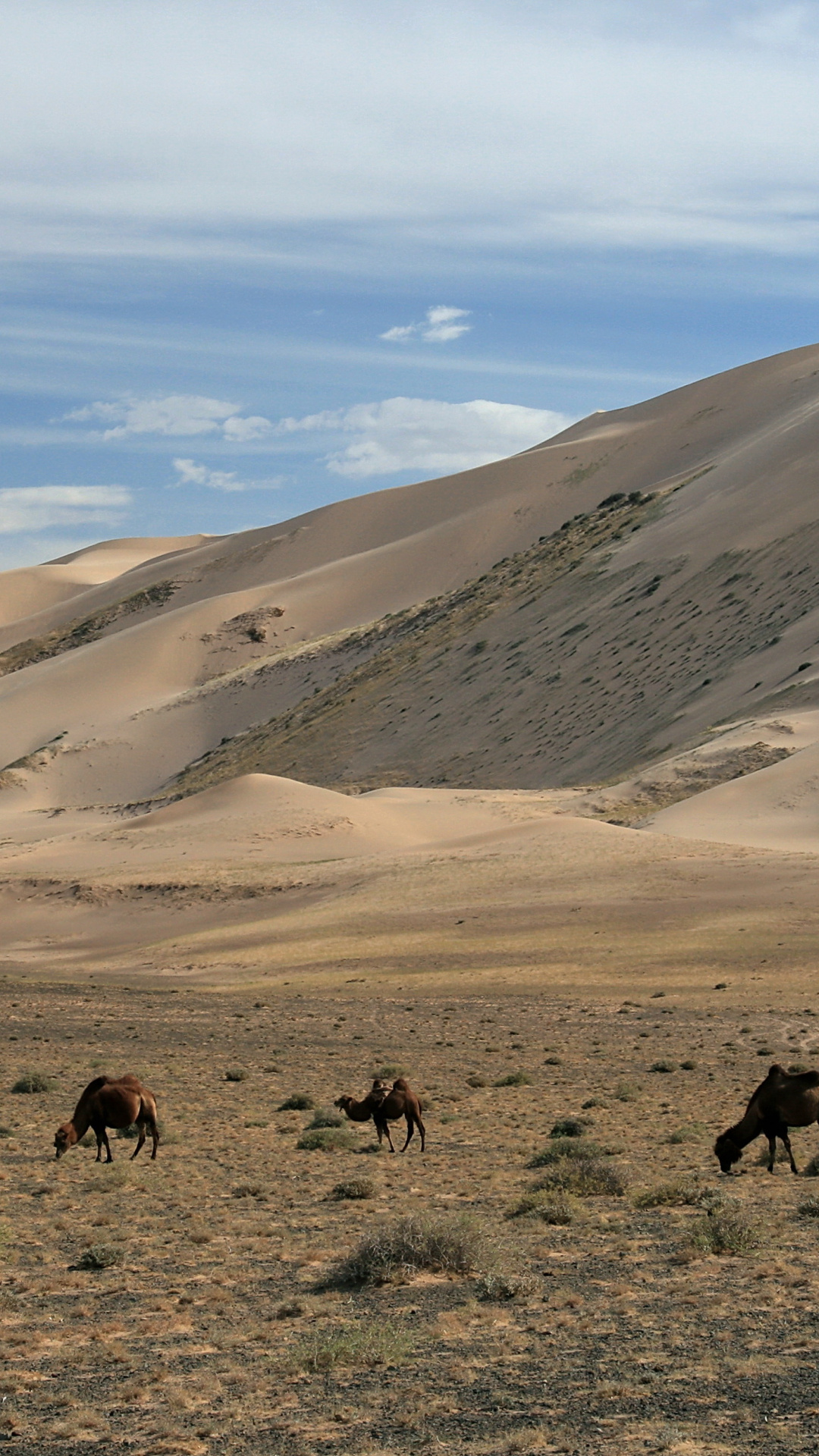 Free download Mongolia, Hongoryn Els, Desktop mobile tablet, Beautiful desert landscape, 1080x1920 Full HD Phone