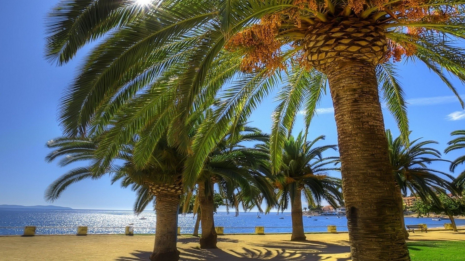 Palm desktop wallpaper, Tropical paradise, Palm tree paradise, Beach vibes, 1920x1080 Full HD Desktop