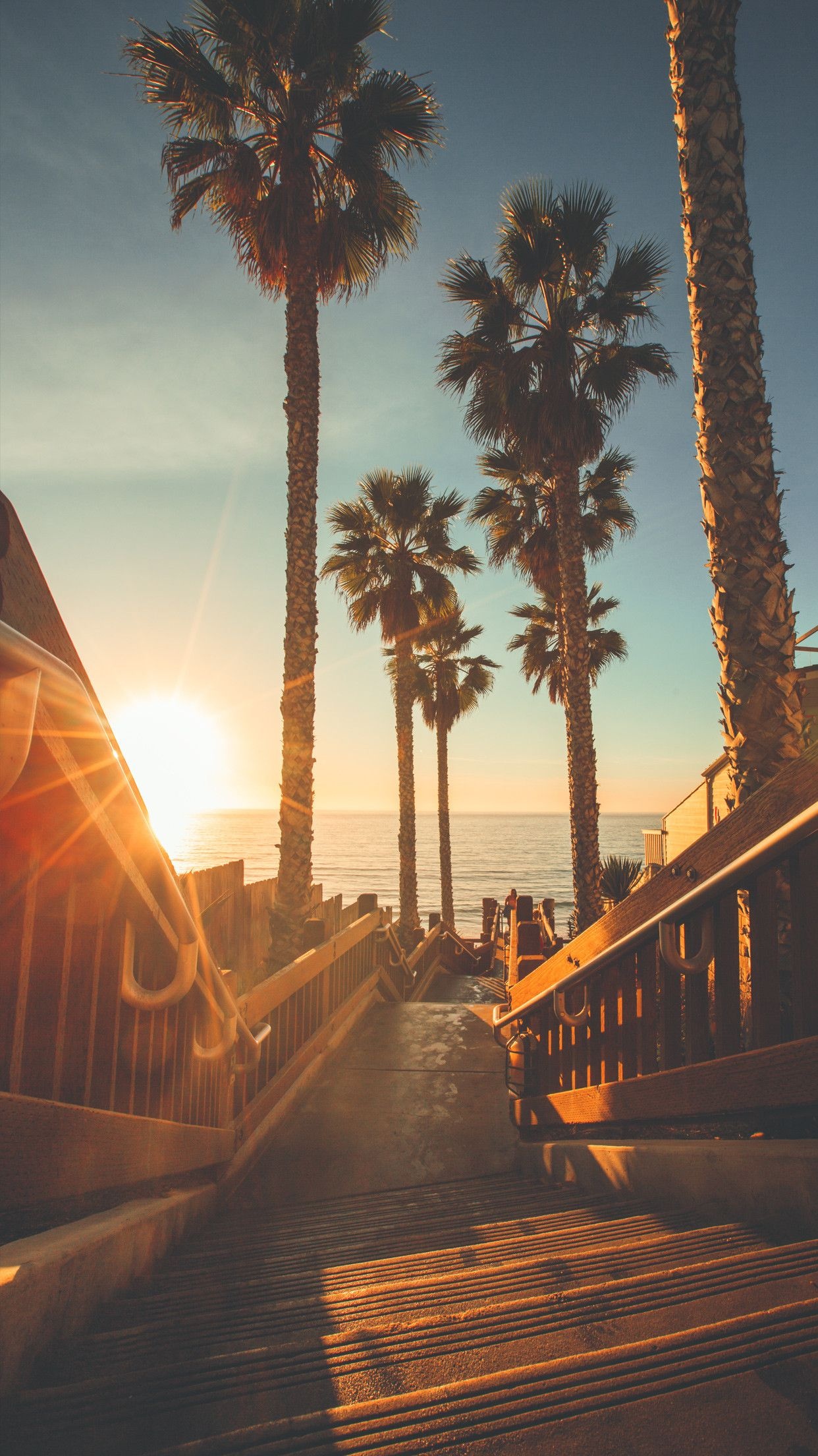 Laguna Beach, Californication, California dreaming, Places to go, 1250x2210 HD Handy