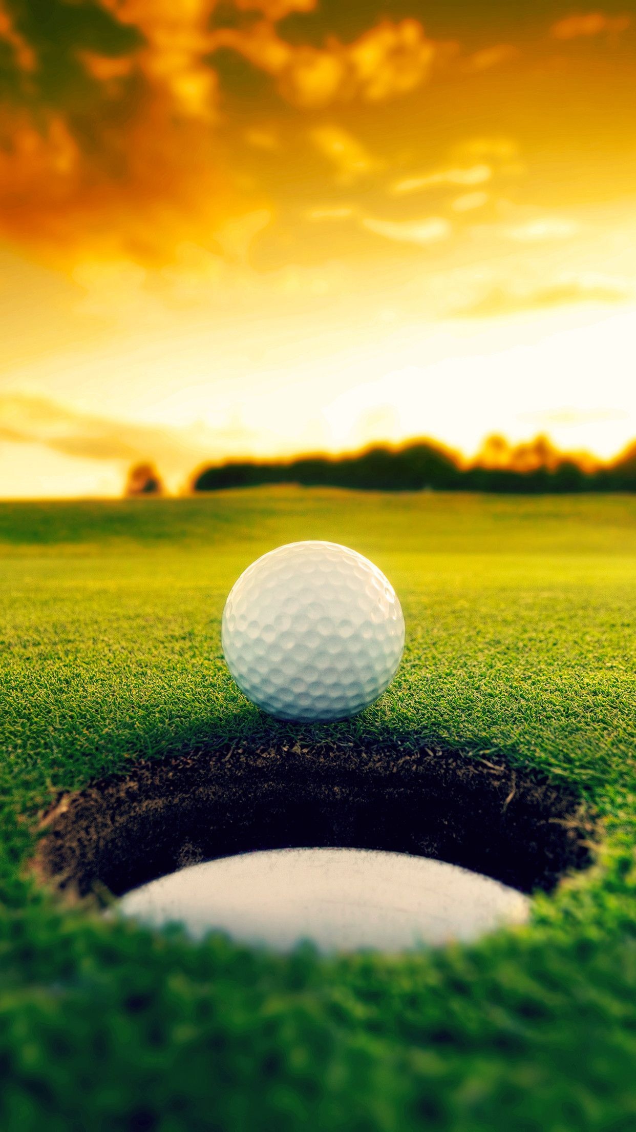 Golf Course: A game in which a small white ball is hit across open ground and into small holes by means of clubs. 1250x2210 HD Wallpaper.