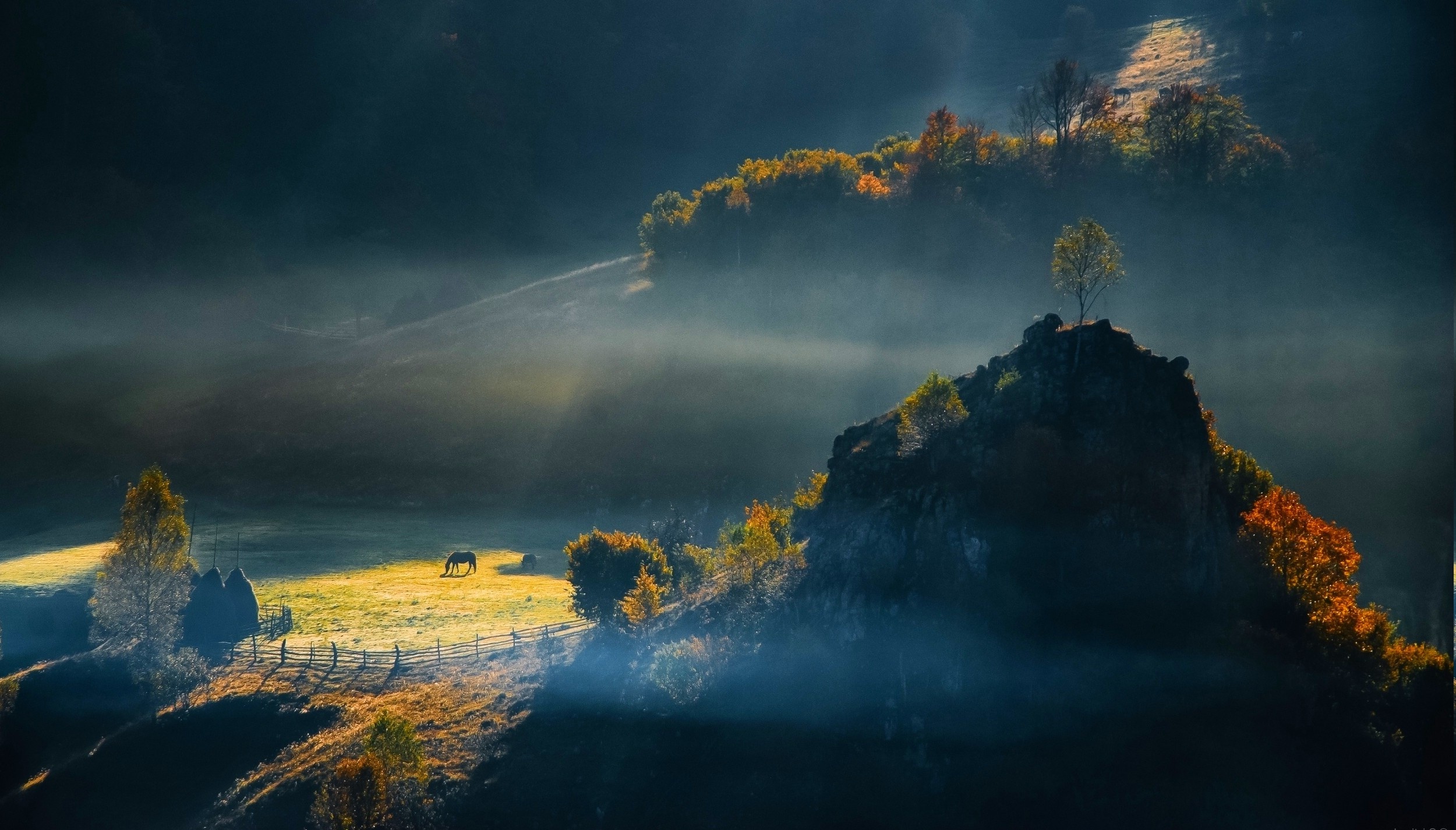 Sunrise field, Romania, Nature trees, Hill landscape, 2500x1430 HD Desktop