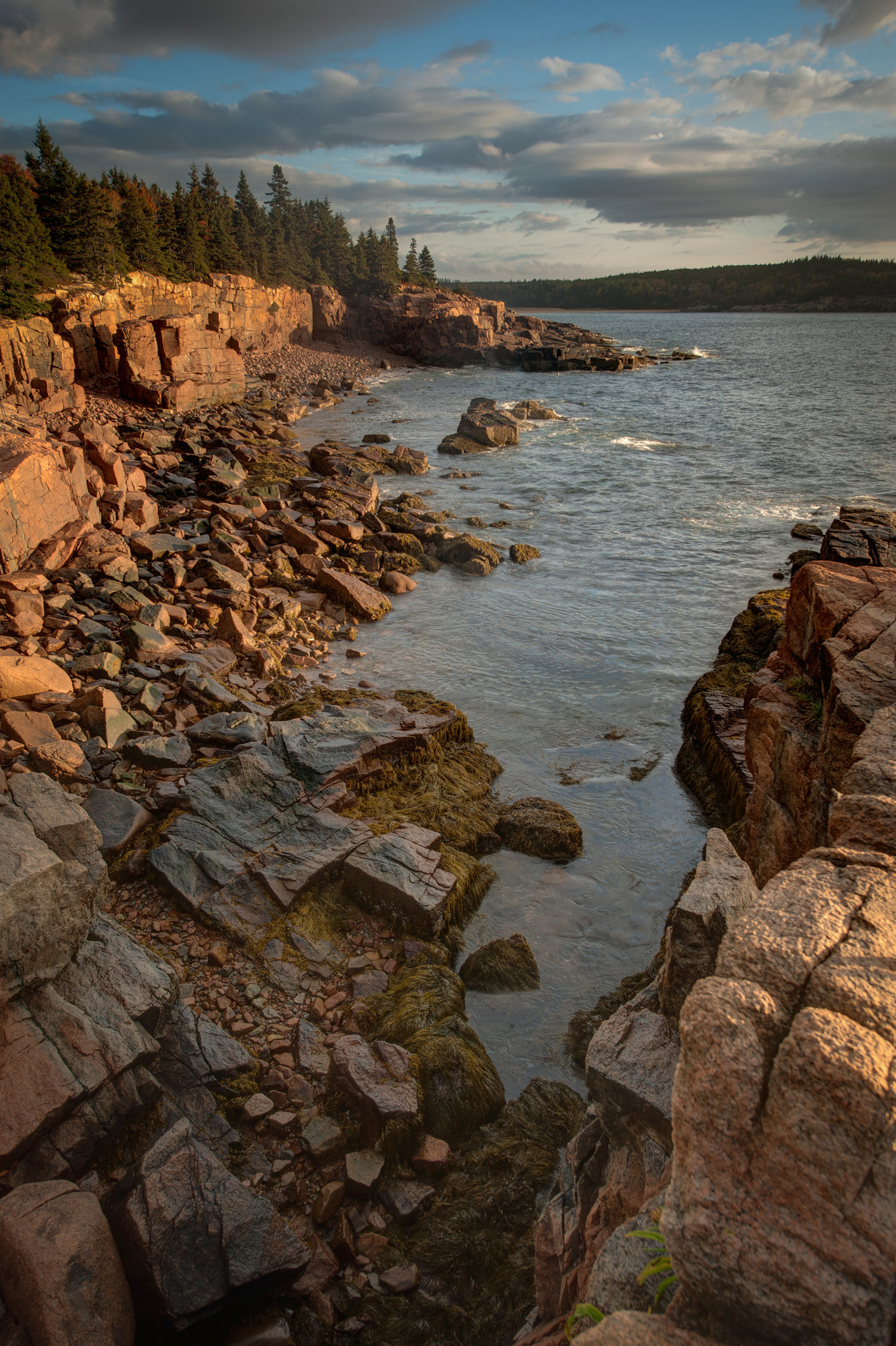 Acadia National Park, Majestic landscapes, United States treasure, Nature's wonder, 1370x2050 HD Phone