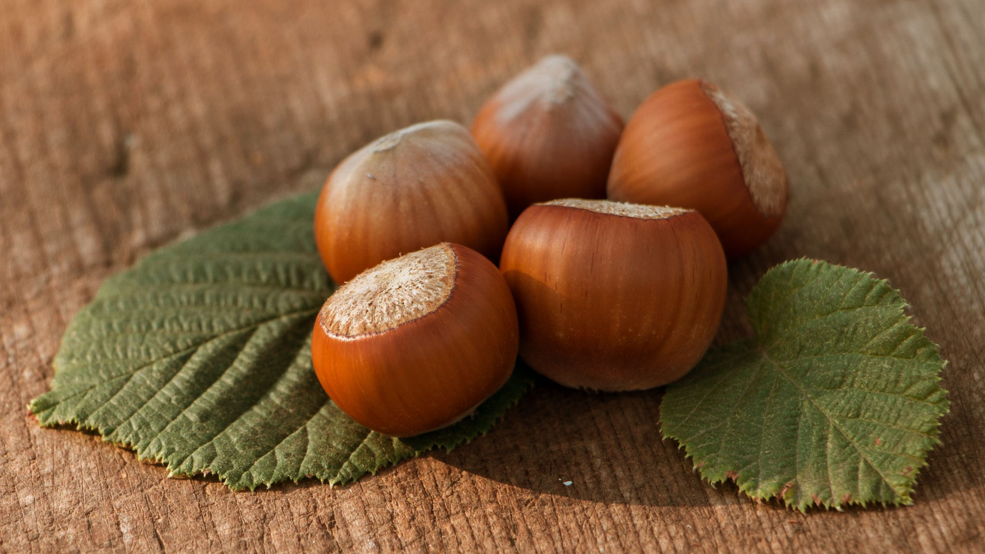 Hazelnuts: Have the highest Folate content than any other nut. 1920x1080 Full HD Wallpaper.