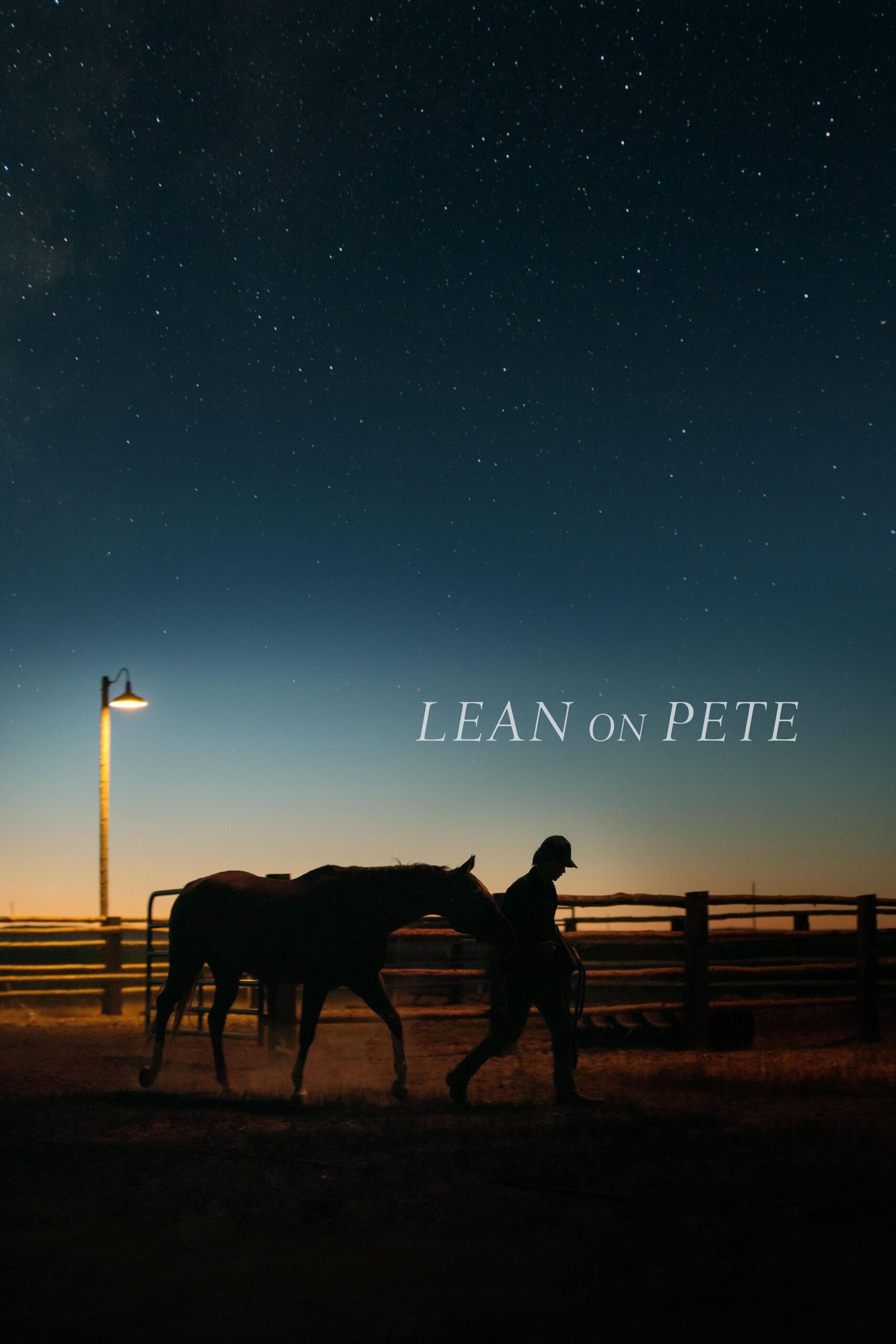 Lean on Pete, Story of friendship, Experiences on the road, A boy and his horse, 1710x2560 HD Handy