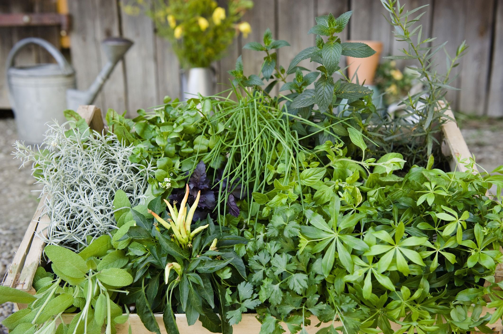 Mini herb garden, Planting guide, Herb plants, Food, 2130x1420 HD Desktop