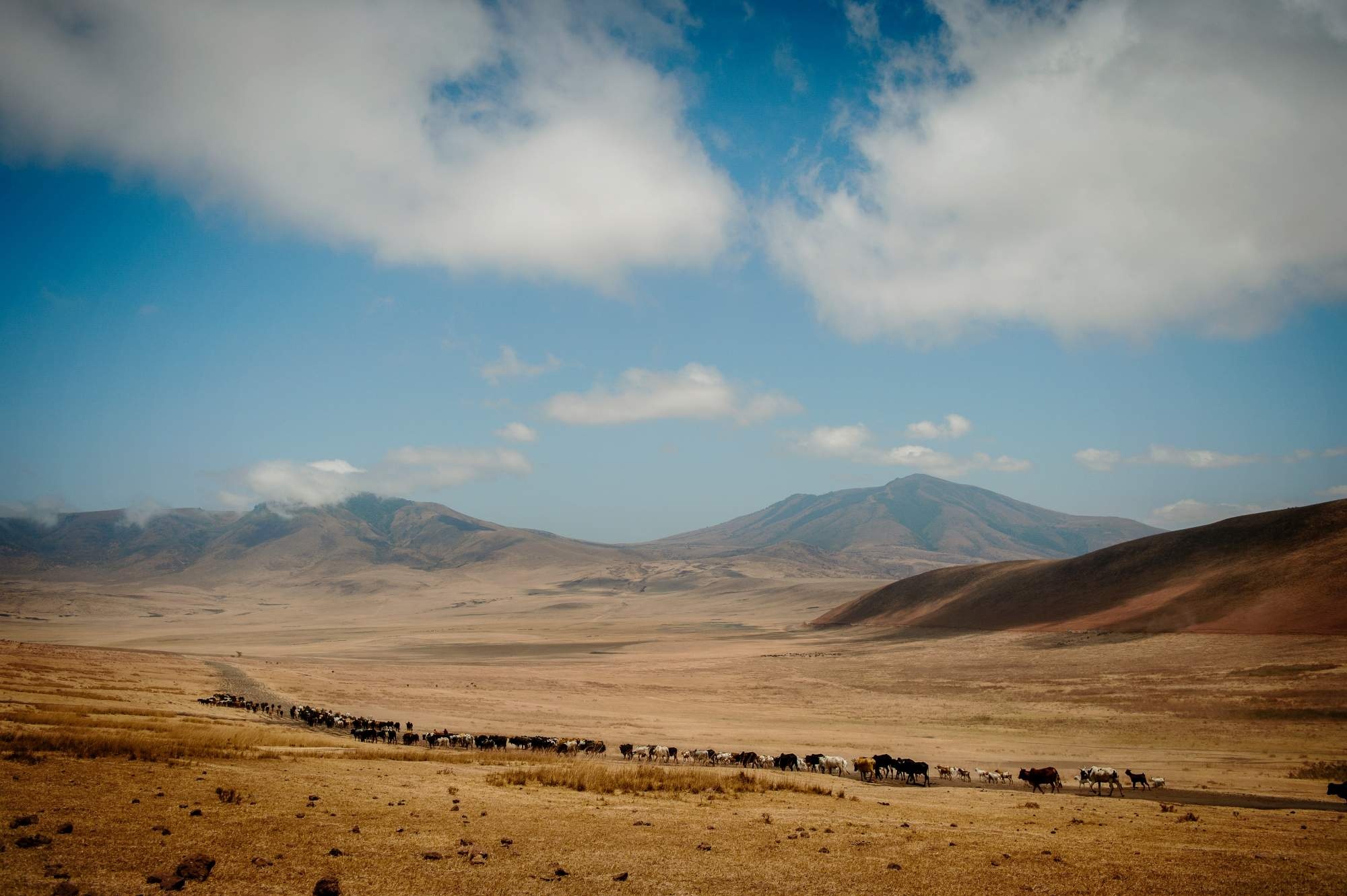 Tanzania, Ngorongoro Crater Highlands, 2000x1340 HD Desktop