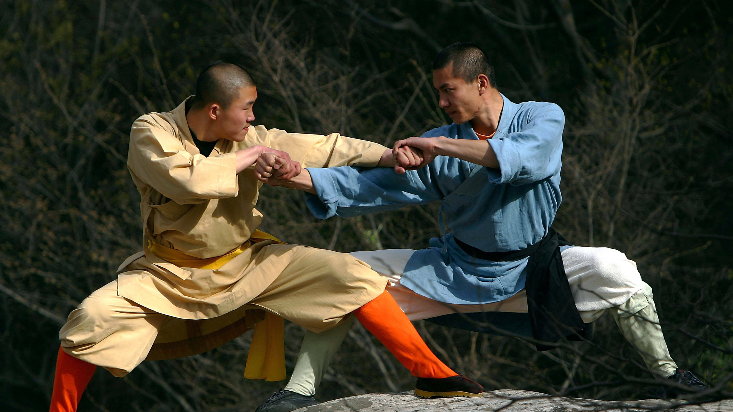 Shaolin Kung Fu: Kata training by two Shaolin monks, External meditation as a training. 2560x1440 HD Background.