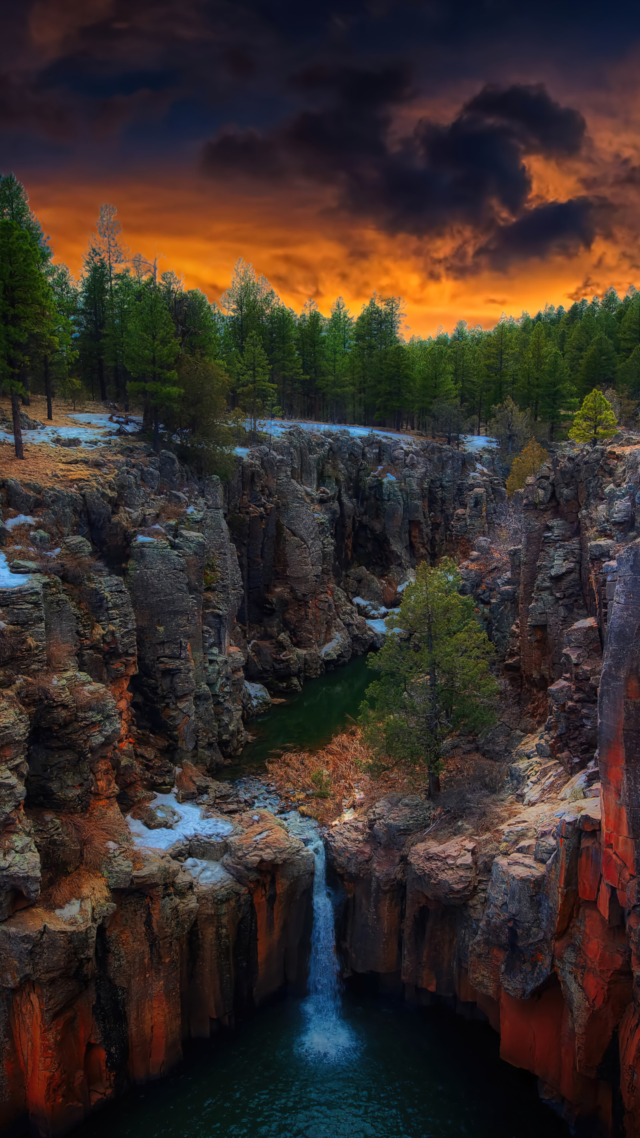 Nature forest tree, Arizona canyon scenery, 4k PC desktop, Tranquil nature wallpaper, 2160x3840 4K Phone