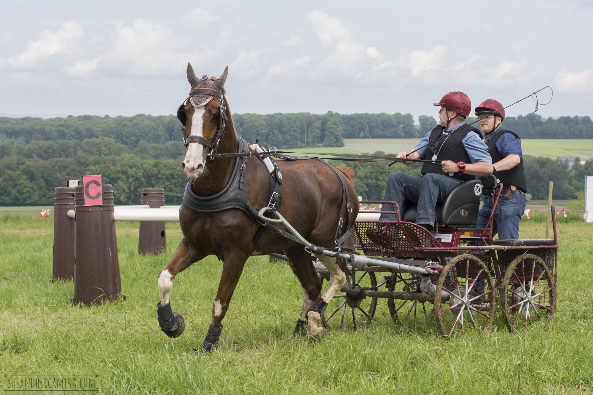 Carriage Driving (Sports), Driving competition, 2000x1340 HD Desktop