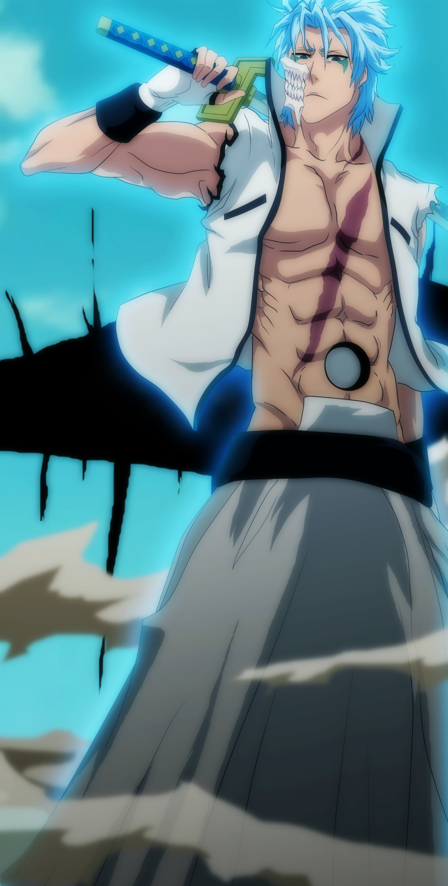 Grimmjow Jaggerjack: A villain who is voiced by Junichi Suwabe in the Japanese anime and by David Vincent in the English dub. 1540x3030 HD Background.
