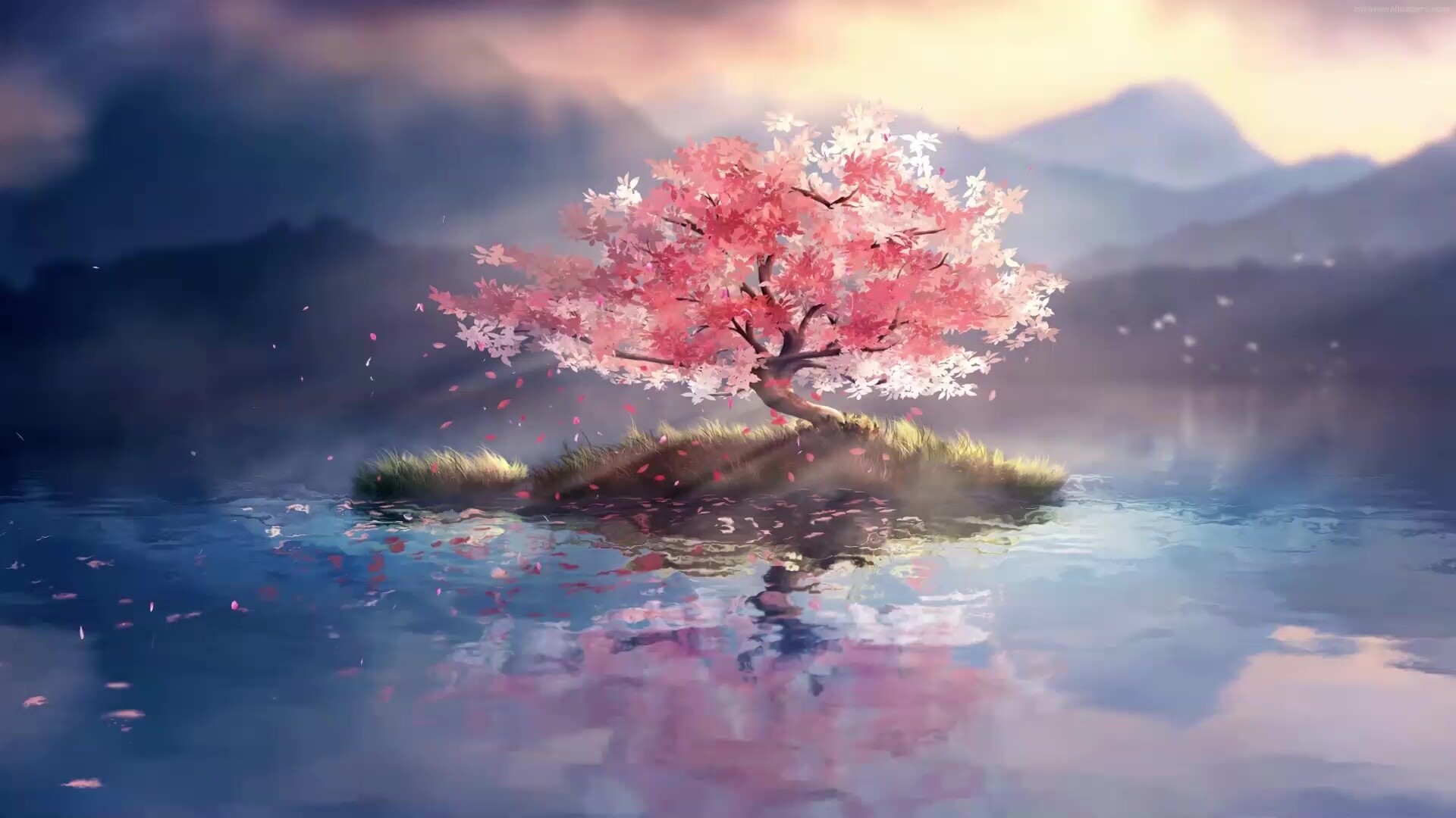 Cherry blossom tree, Graceful floral display, Lively wallpaper, Nature's elegance, 1920x1080 Full HD Desktop