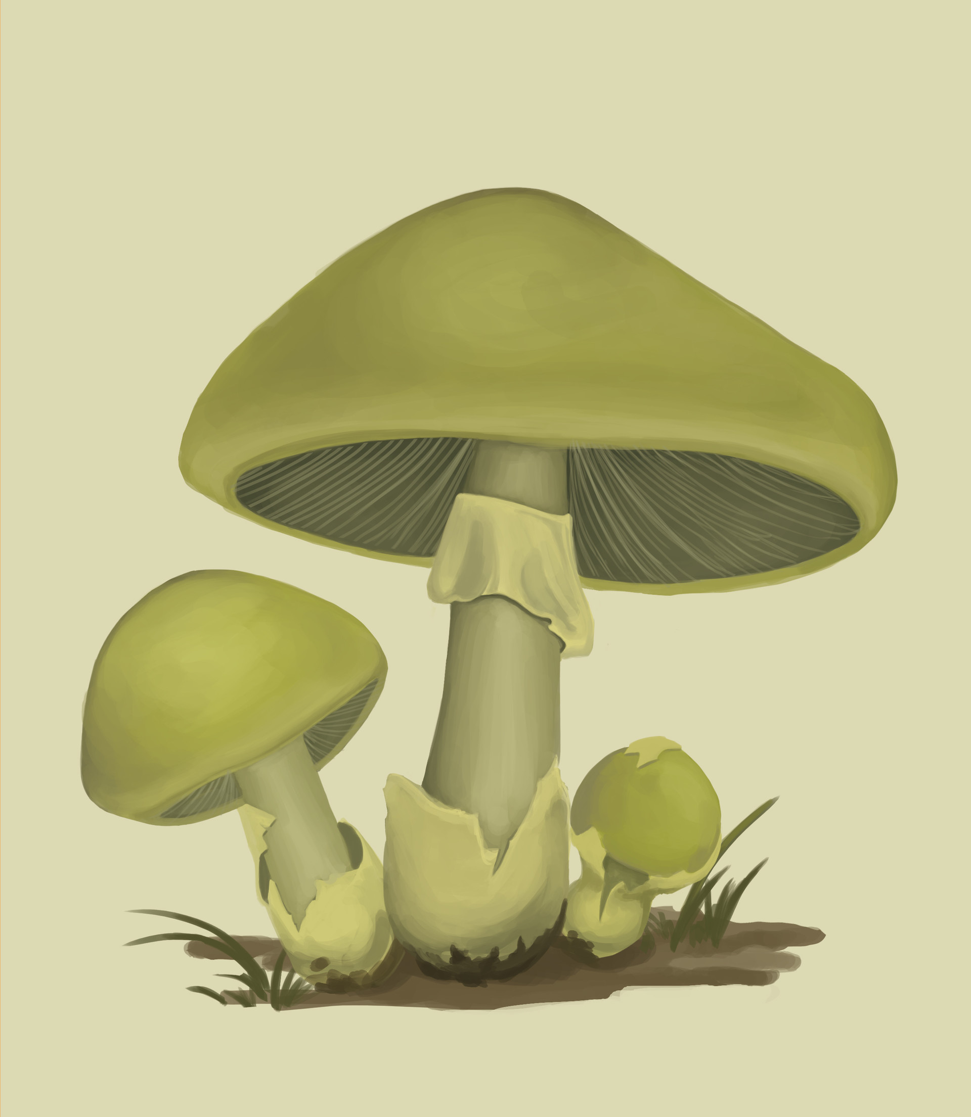 Amanita phalloides, Death cap, Mushroom's allure, Nature's artwork, 1920x2210 HD Handy