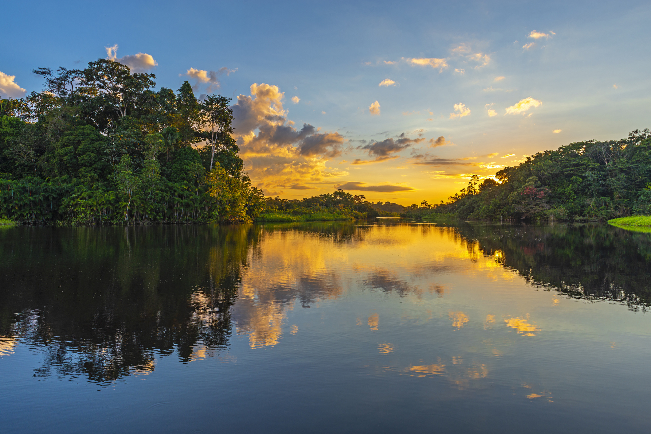 Amazon River, Ecuadorian adventure, Immersive experience, Nature's bounty, 2120x1420 HD Desktop