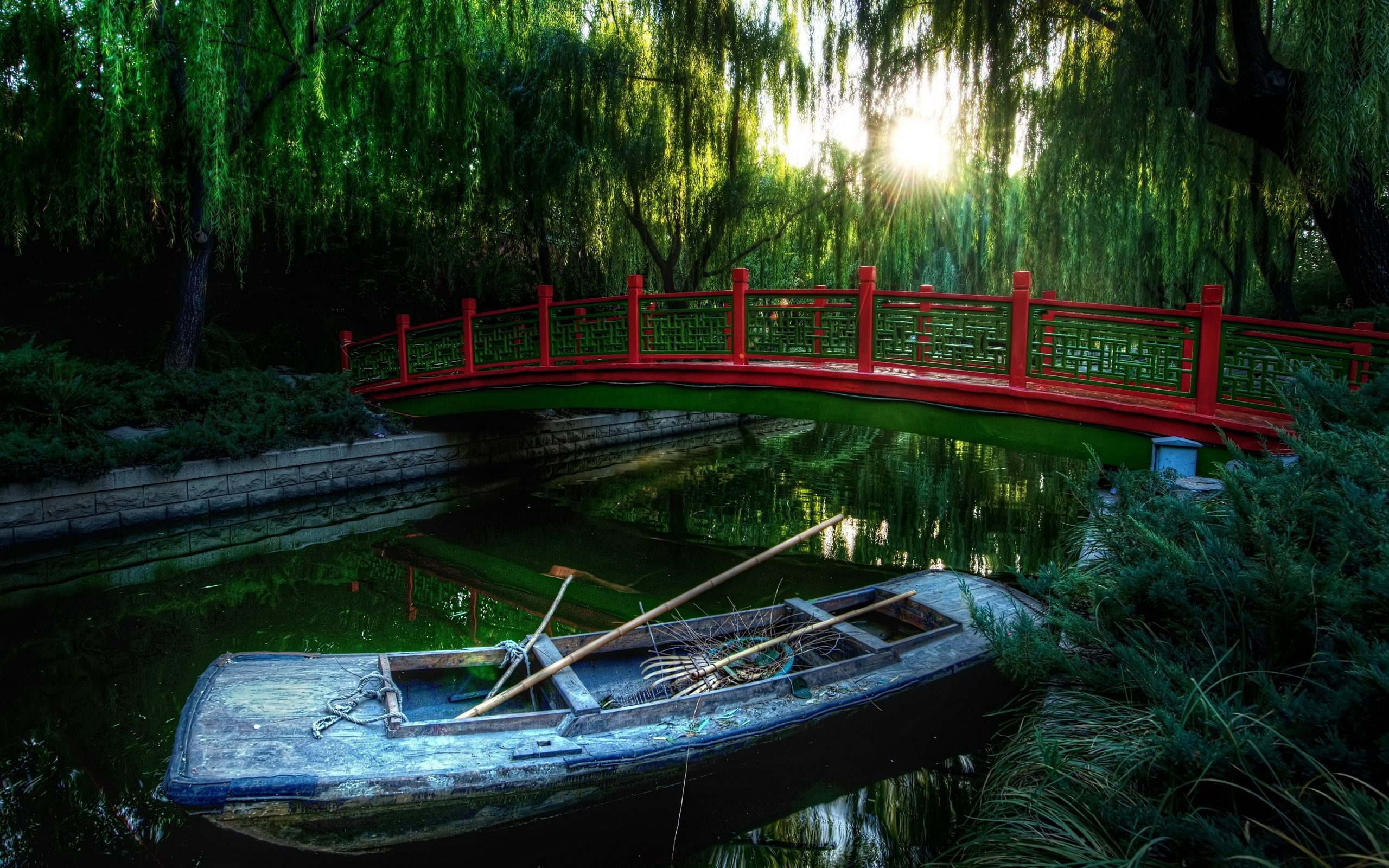 Download beautiful willow tree wallpapers, Nature's charm, Serene beauty, Captivating allure, 2560x1600 HD Desktop