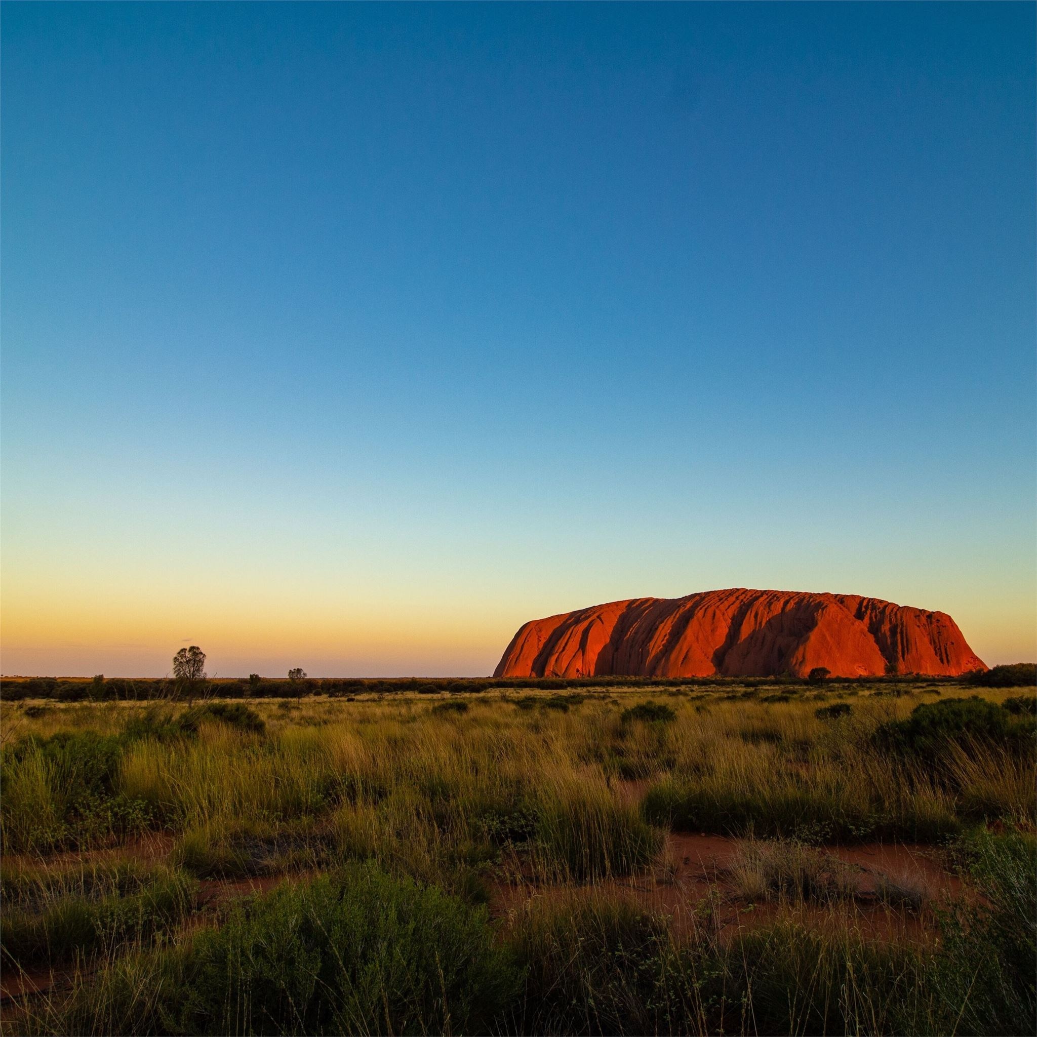 Uluru, Ayers Rock wallpapers, 2050x2050 HD Phone