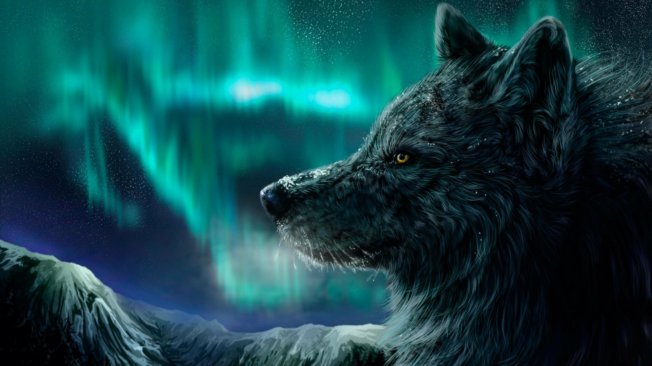 Wolf: A wolf's coat colour is determined by its guard hairs. 2560x1440 HD Background.