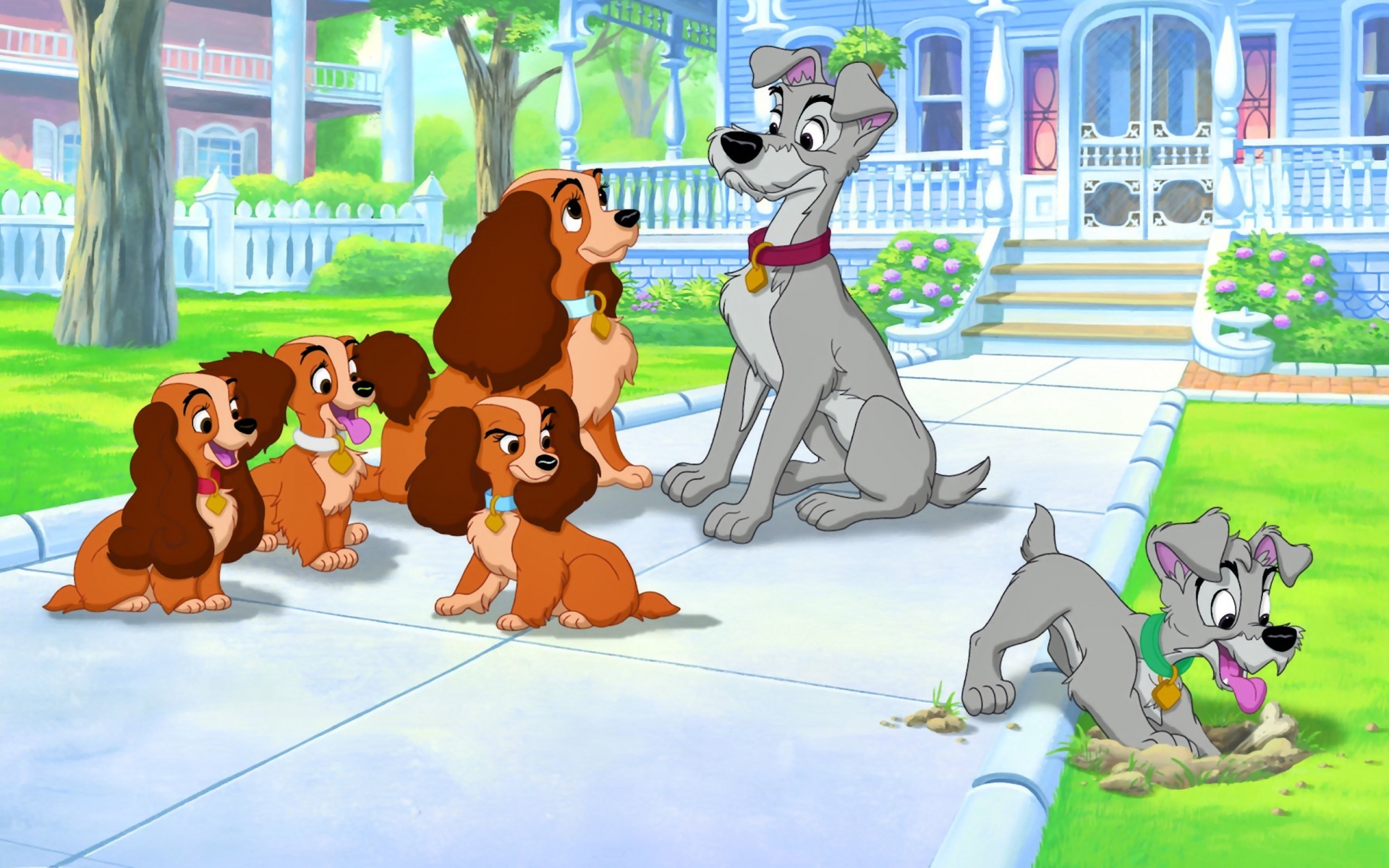 Lady and the Tramp, Scamp's adventure, Sequel wallpapers, Disney magic, 1920x1200 HD Desktop