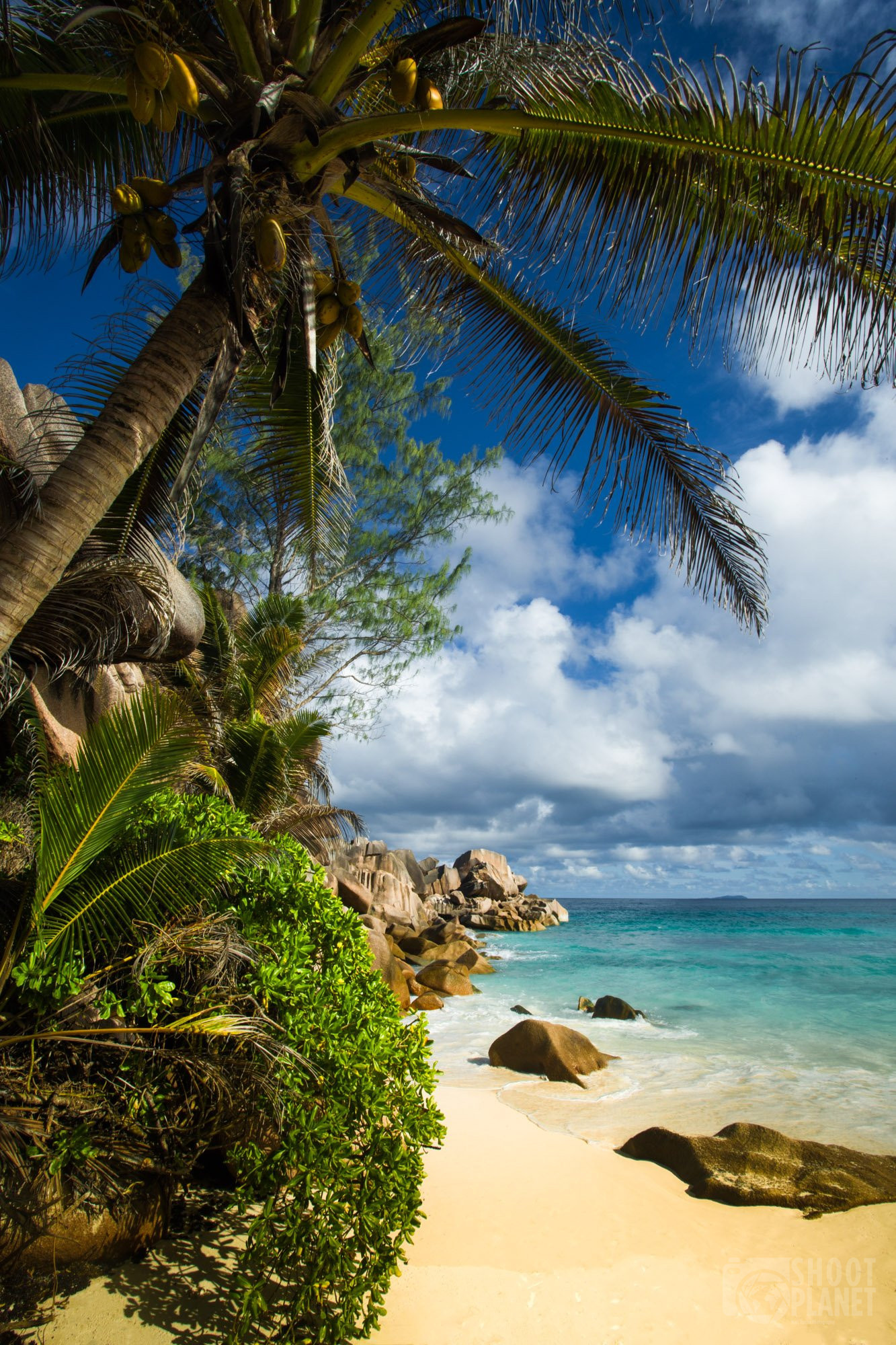La Digue island, Seychelles paradise, Indian Ocean beauty, Captivating landscape, 1340x2000 HD Phone