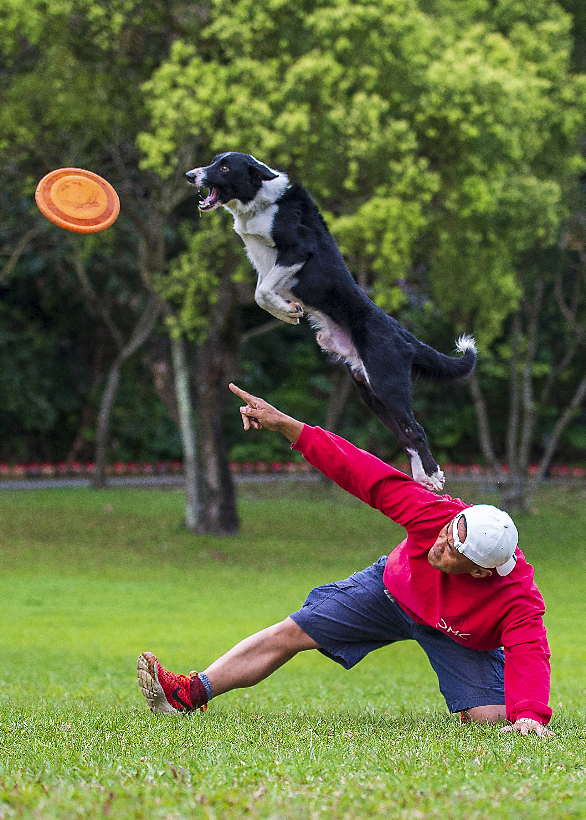Best frisbee photos, 100 free download, 1880x2620 HD Phone