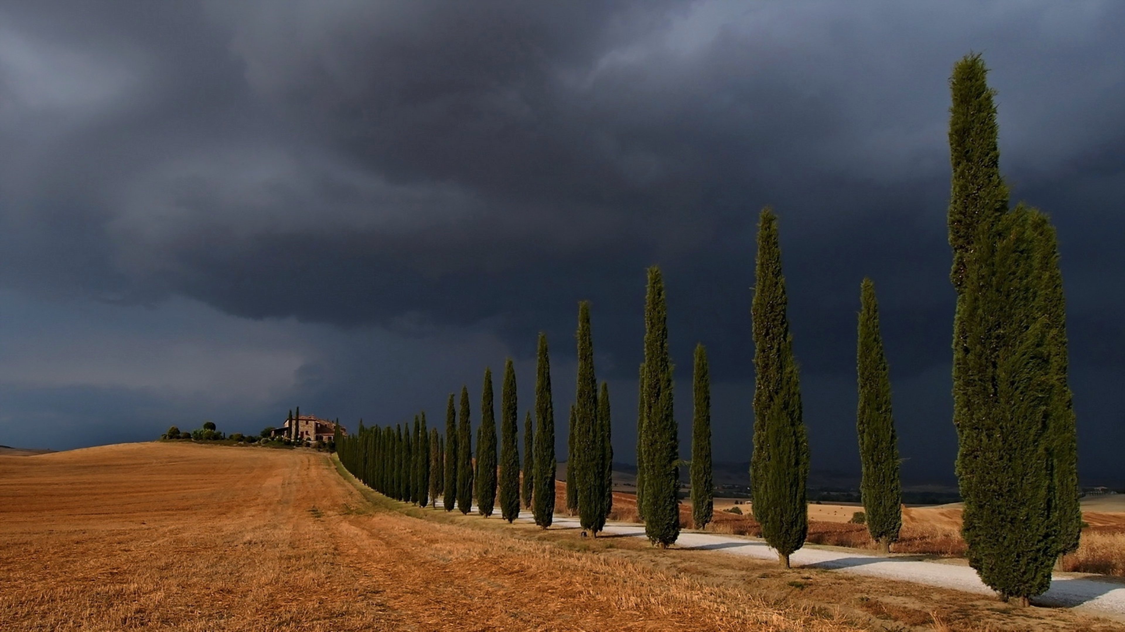 Cypress Tree, Clouds countryside, D'Orcia fields, Storm trees, 3840x2160 4K Desktop