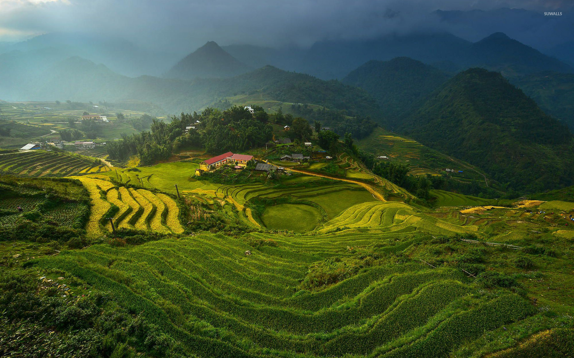 Rice terraces in Vietnam, Natural beauty, Scenic wonders, Tranquil landscapes, 1920x1200 HD Desktop