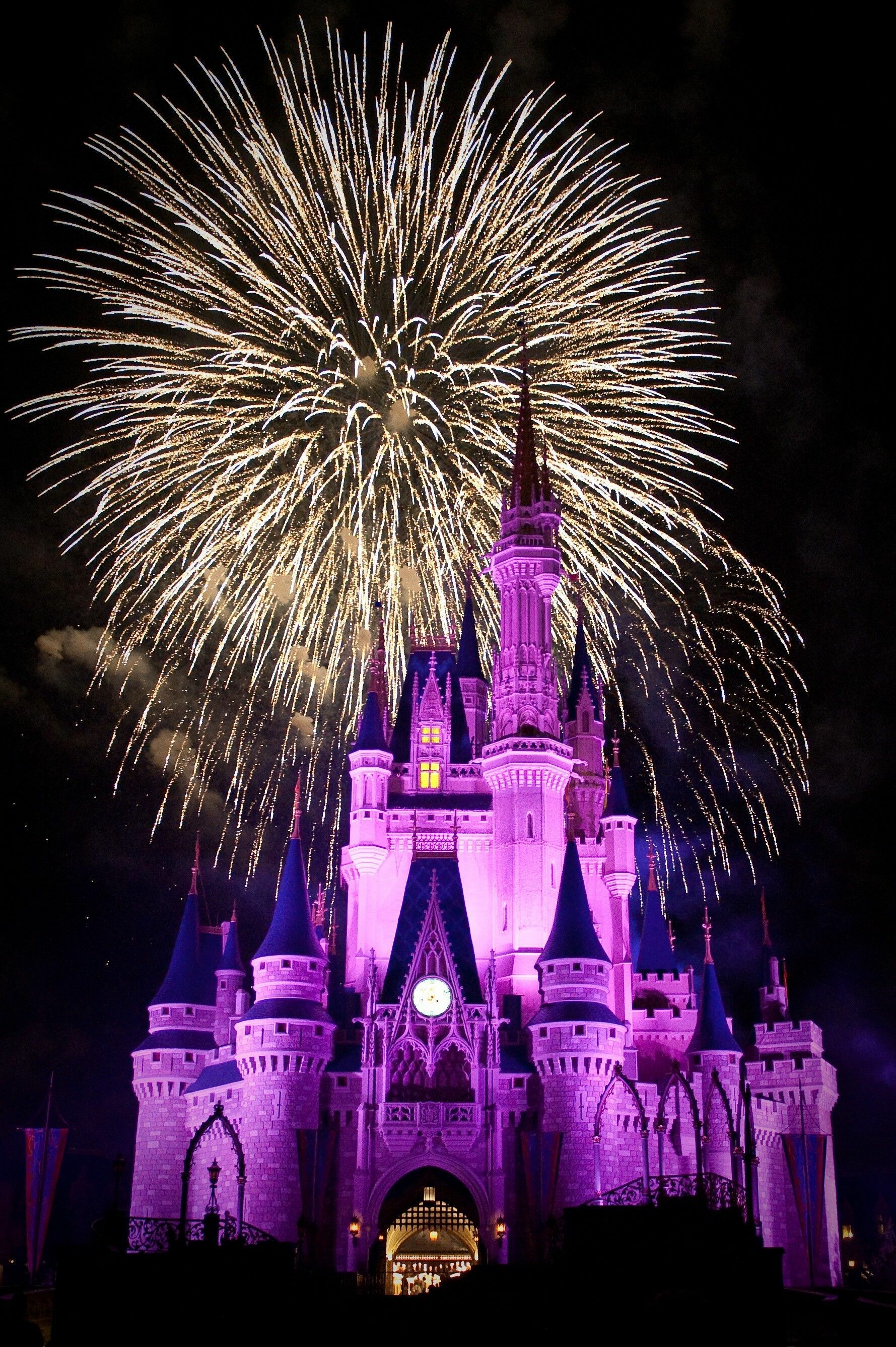 Firework: Disney, The color of sparks is limited to red, orange, yellow, gold, white, silver. 1780x2680 HD Wallpaper.