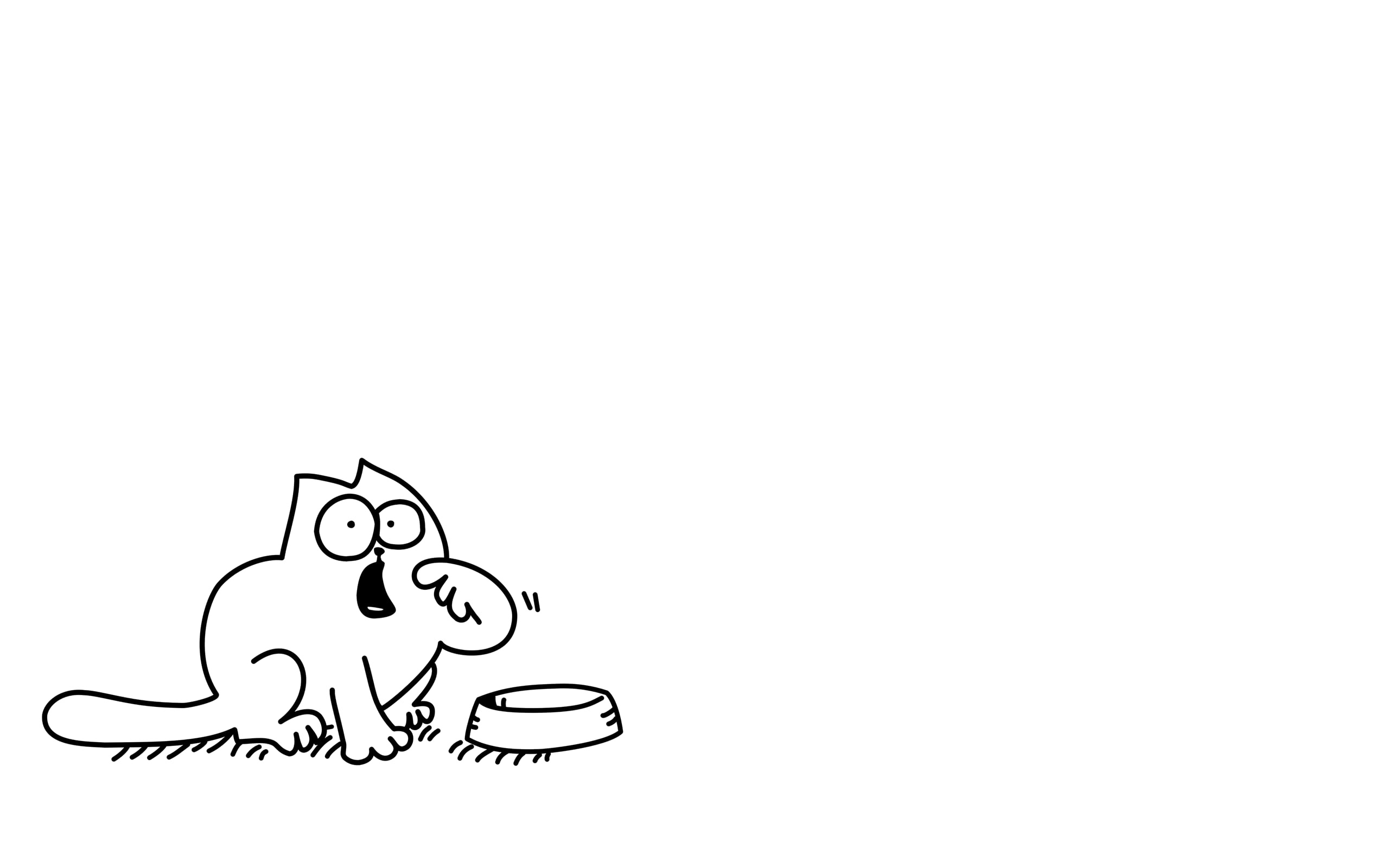 Simon's cat, Playful sketches, Cute feline character, Delightful illustrations, 2560x1600 HD Desktop