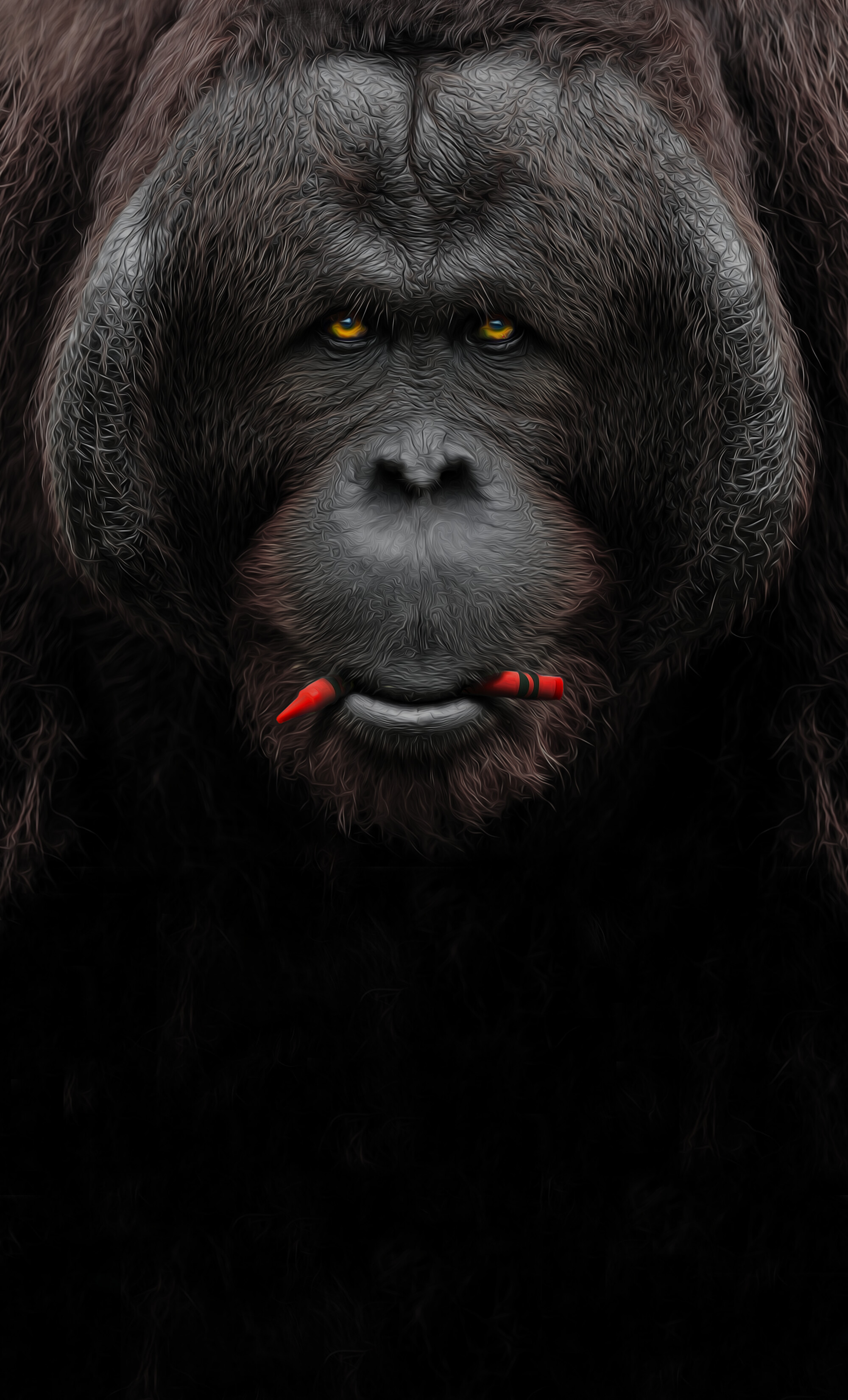 Ape: Gorillas are herbivorous, predominantly ground-dwelling great apes that inhabit the tropical forests of equatorial Africa. 2000x3300 HD Background.