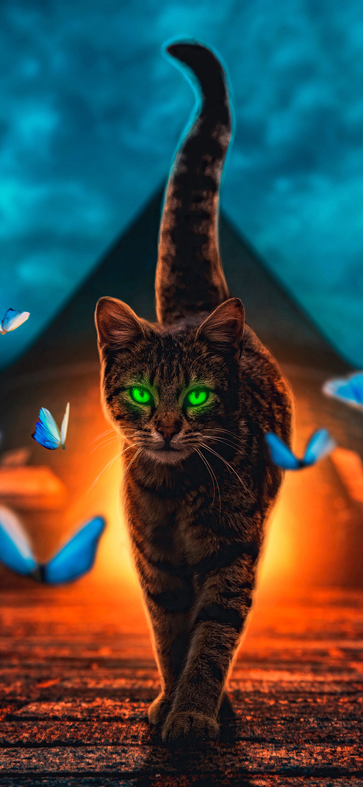 Magical cat walk, Enchanting aura, iPhone XS Max, 4K wallpaper, 1250x2690 HD Phone