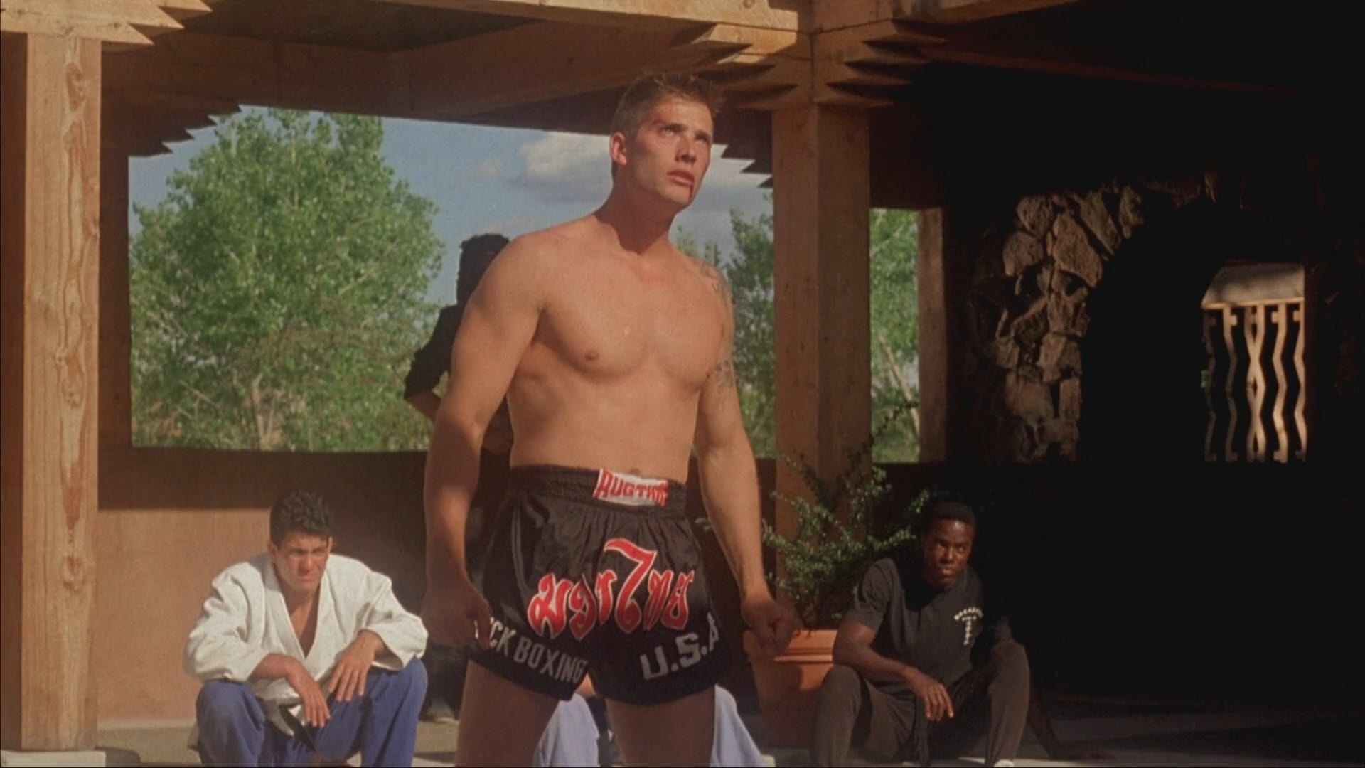 Kickboxer (Movie): The Aggressor, A 1994 direct-to-video martial arts film directed by Albert Pyun. 1920x1080 Full HD Background.