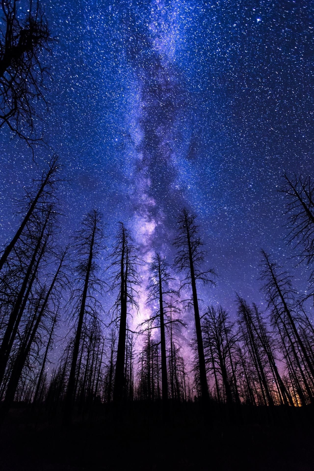 Night sky wallpapers, Captivating cosmos, Celestial wonderland, 1280x1920 HD Phone