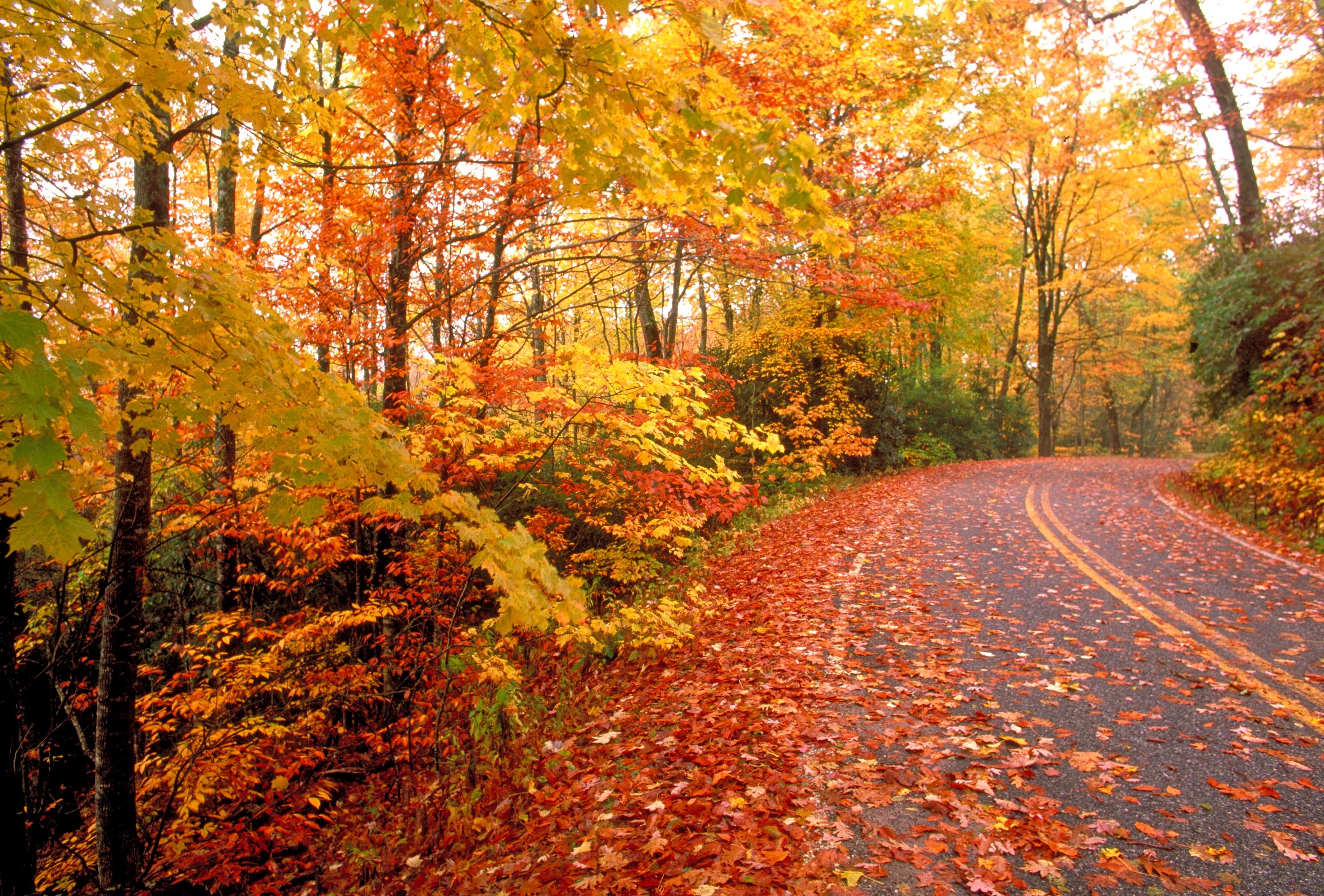 Autumnal equinox, Seasonal transition, Guardian's view, Harvest festivals, Fall traditions, 2960x2000 HD Desktop