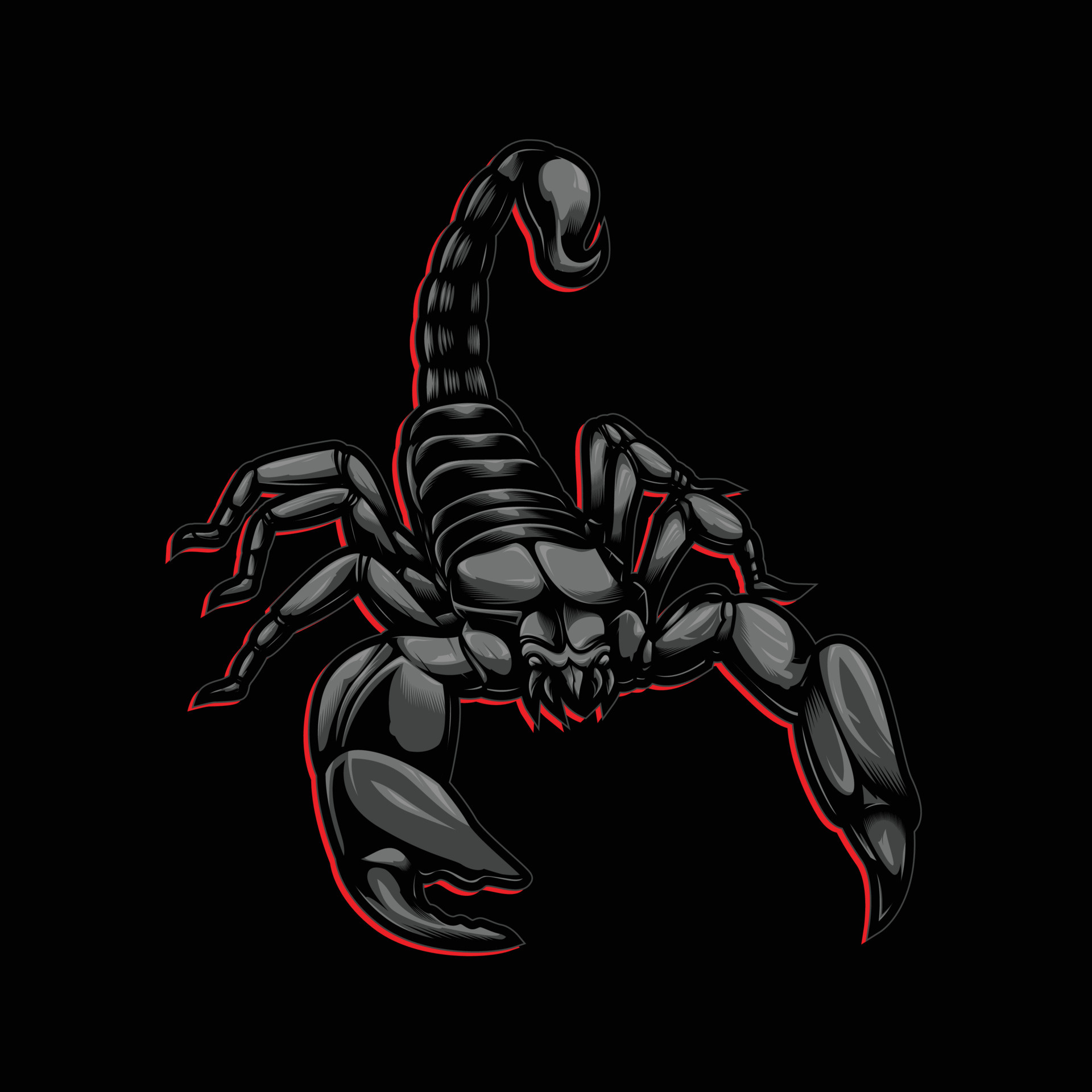Scorpion (Animal): Vector artwork, Arachnids, who give birth to live young. 1920x1920 HD Background.