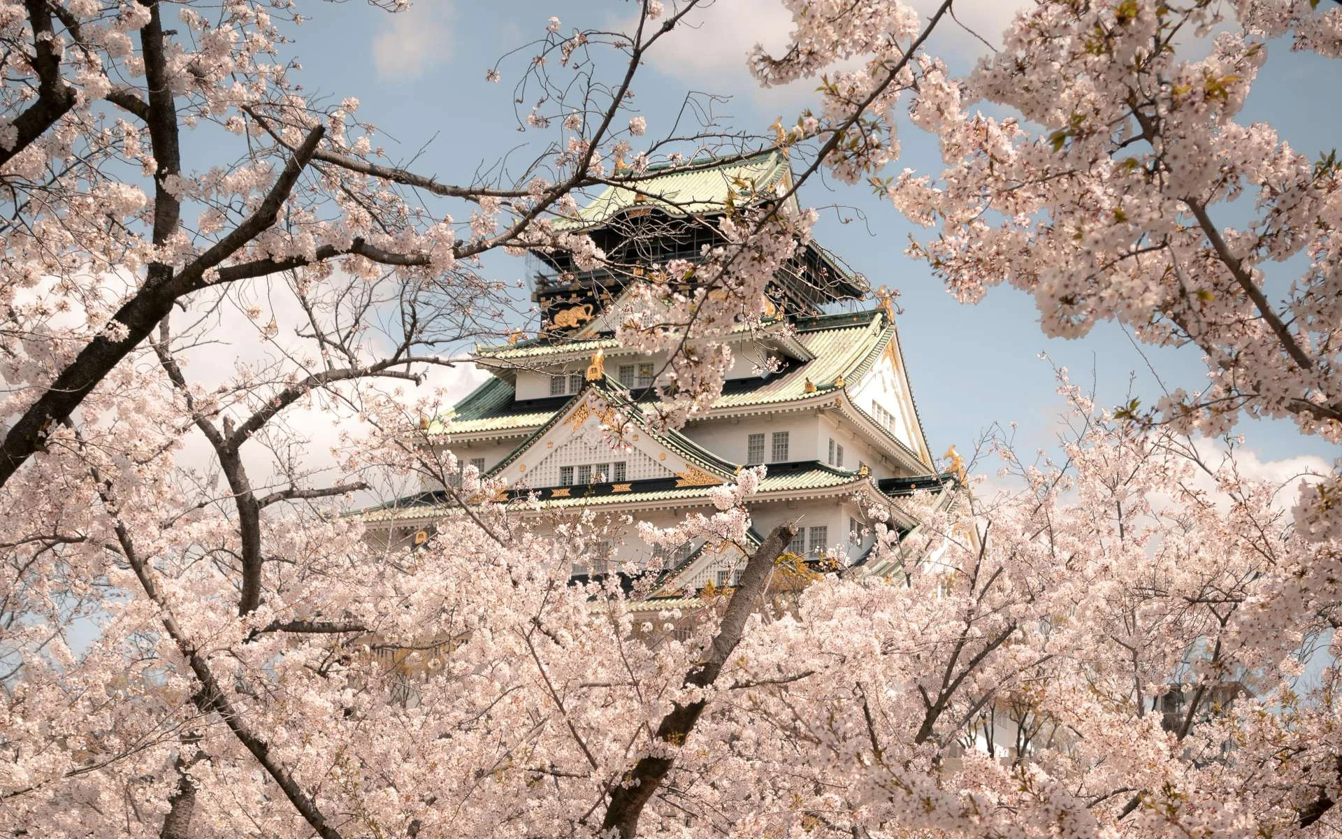 Osaka Castle, Travels, Media coverage, Travel inspiration, 1920x1200 HD Desktop