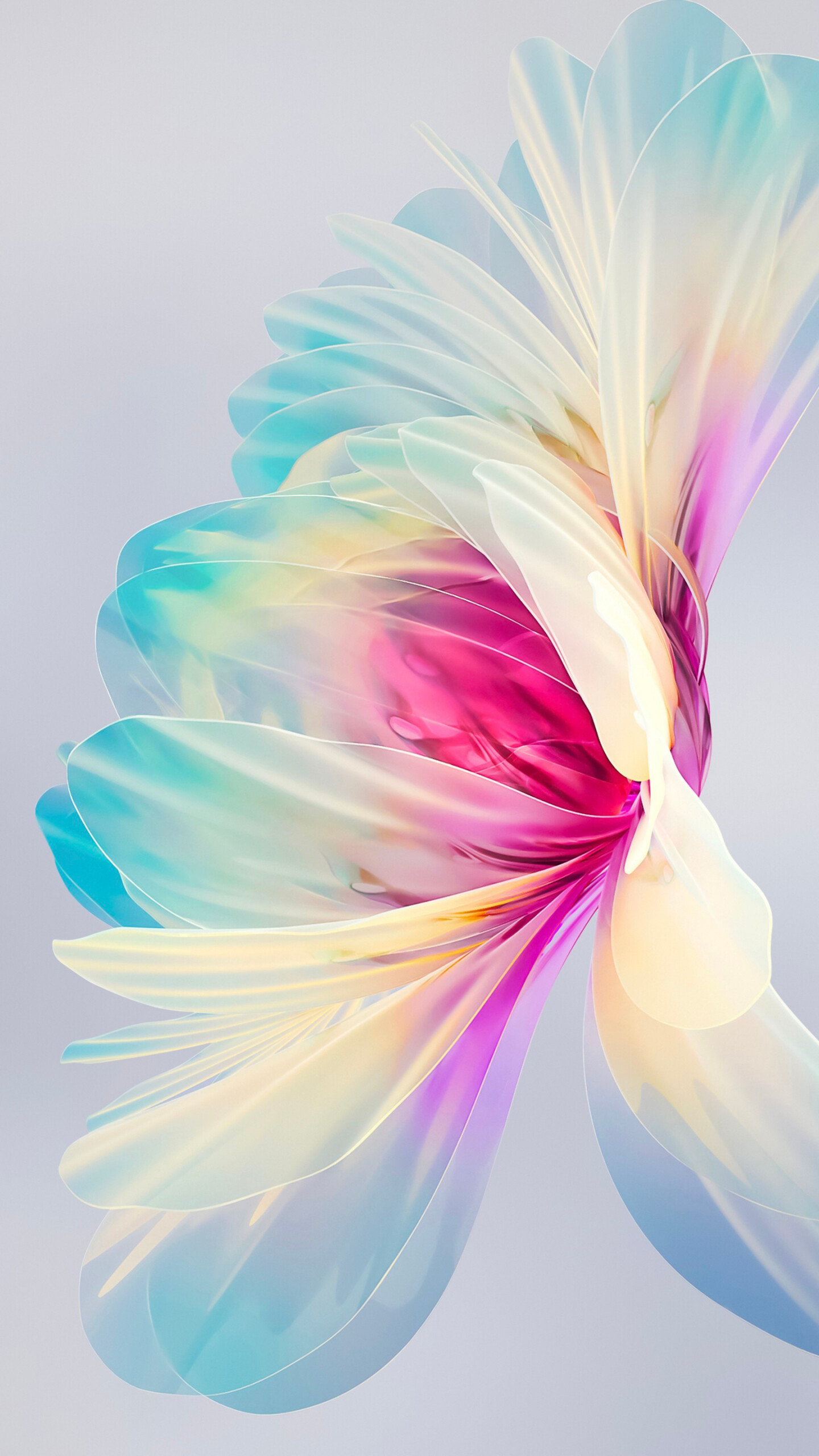 Girly: Blooming flower, Petals, A bloom or blossom, Botanic, Flowering plant. 1440x2560 HD Wallpaper.