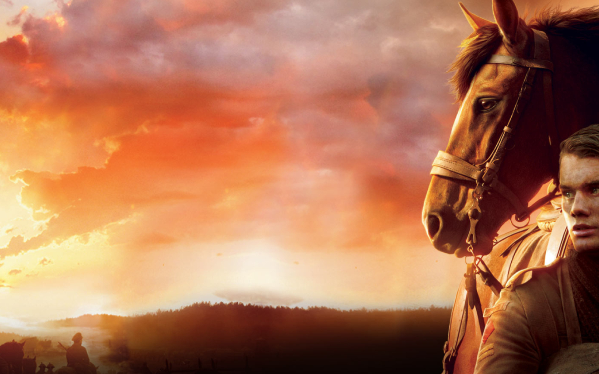 War Horse: The journey of Joey, a bay Irish Hunter raised by British teenager. 1920x1200 HD Background.