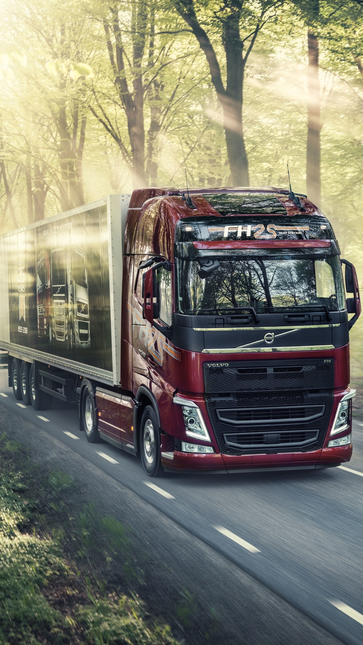 Volvo vehicles, Truck power, Reliable performance, Transportation, 1440x2560 HD Phone
