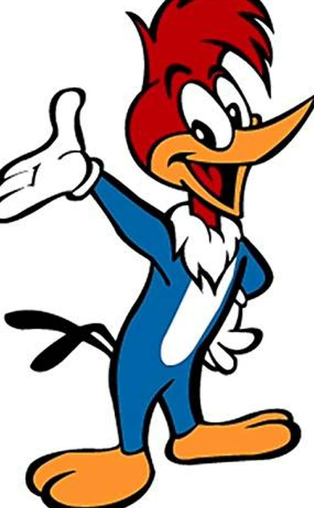 Woody Woodpecker, DVD collection, Animated character, Cartoon favorites, 1200x1940 HD Phone