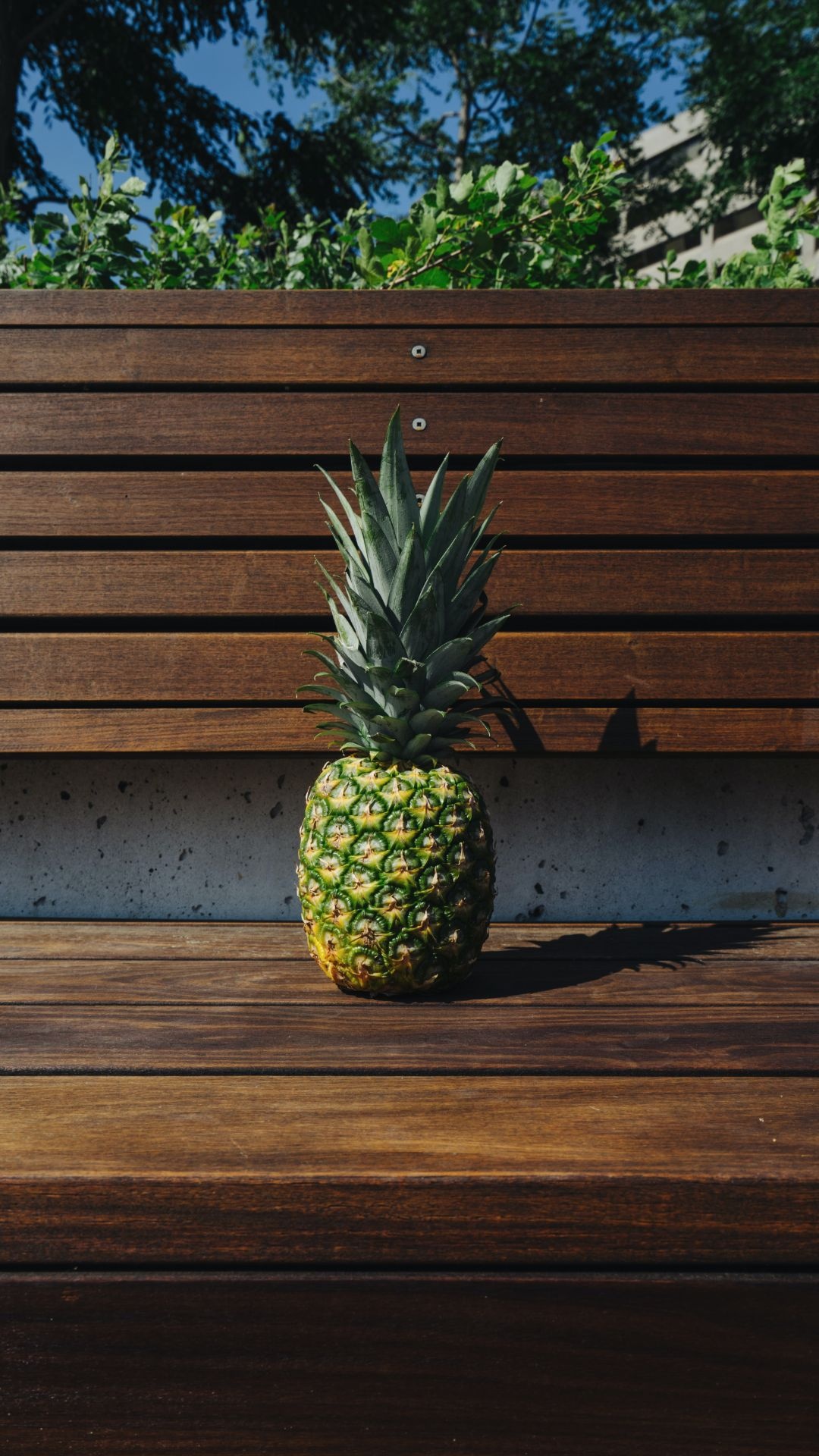 Pineapple: Famed as the fruit of labor, as the plant takes up to 3 years to fully grow and mature. 1080x1920 Full HD Wallpaper.