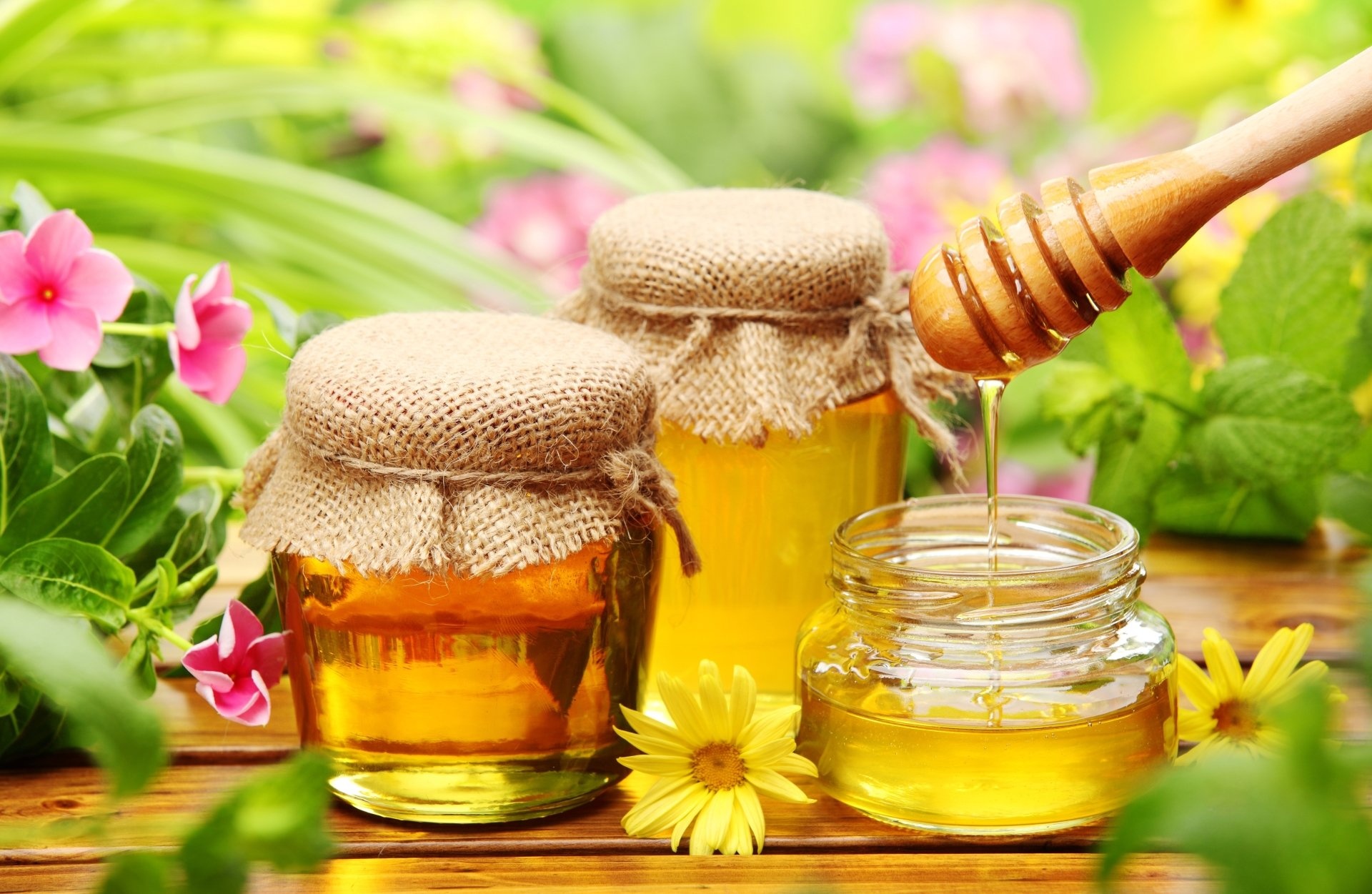 Honey: Used as an anti-inflammatory, antioxidant, and antibacterial agent. 1920x1260 HD Wallpaper.