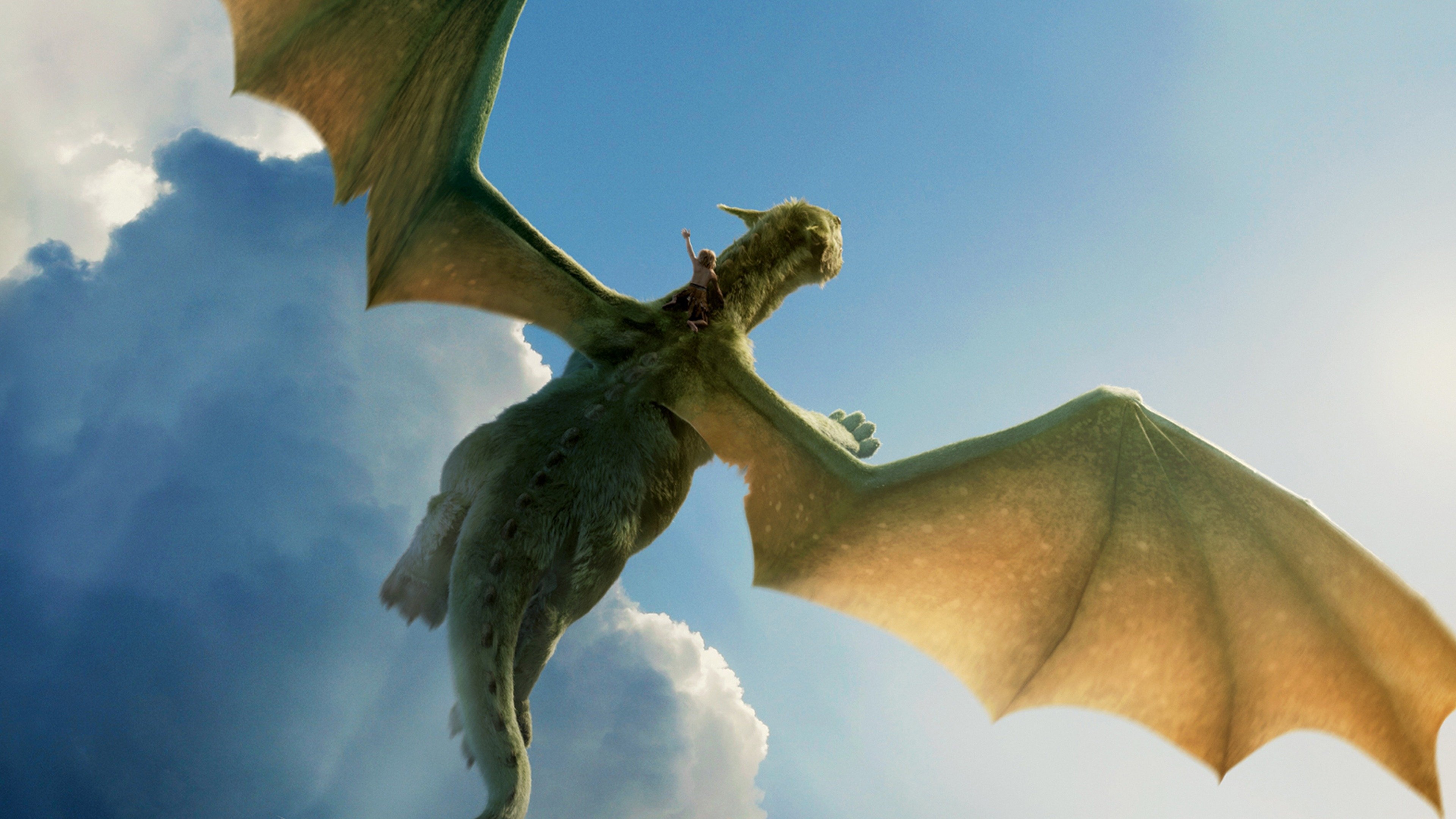 Pete's Dragon, Full movie online, Heartwarming tale, Magical bond, 3840x2160 4K Desktop