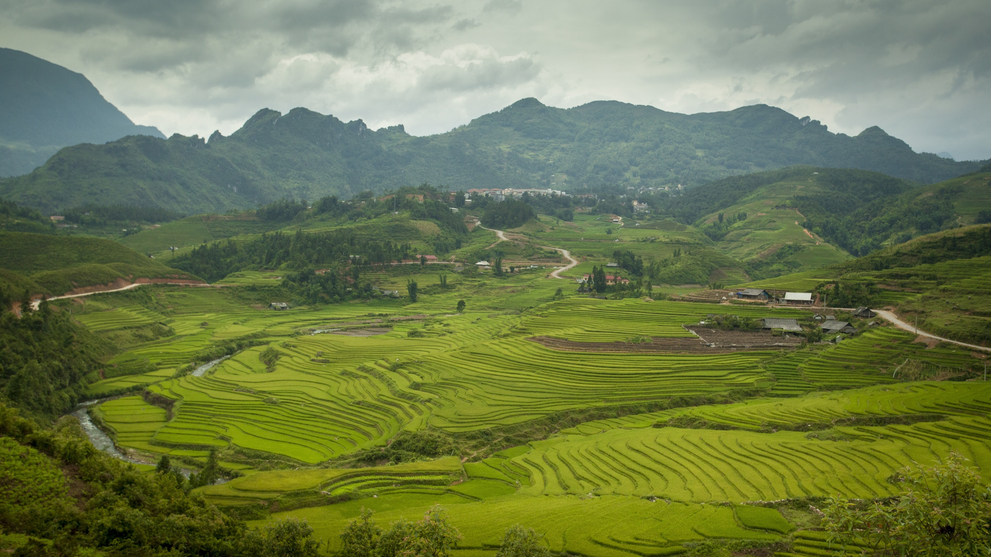 Rice paddies in Vietnam, Sapa valley charm, Green paradise, Nature's bounty, 3840x2160 4K Desktop