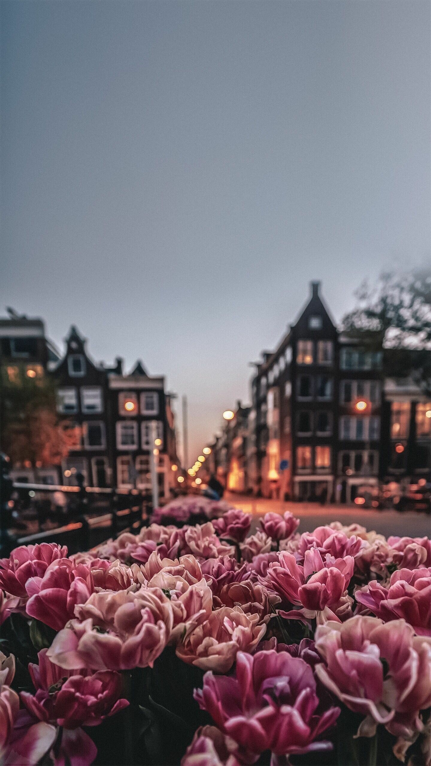 Amsterdam: The capital and most populous city of the Netherlands, North Holland. 1440x2560 HD Wallpaper.