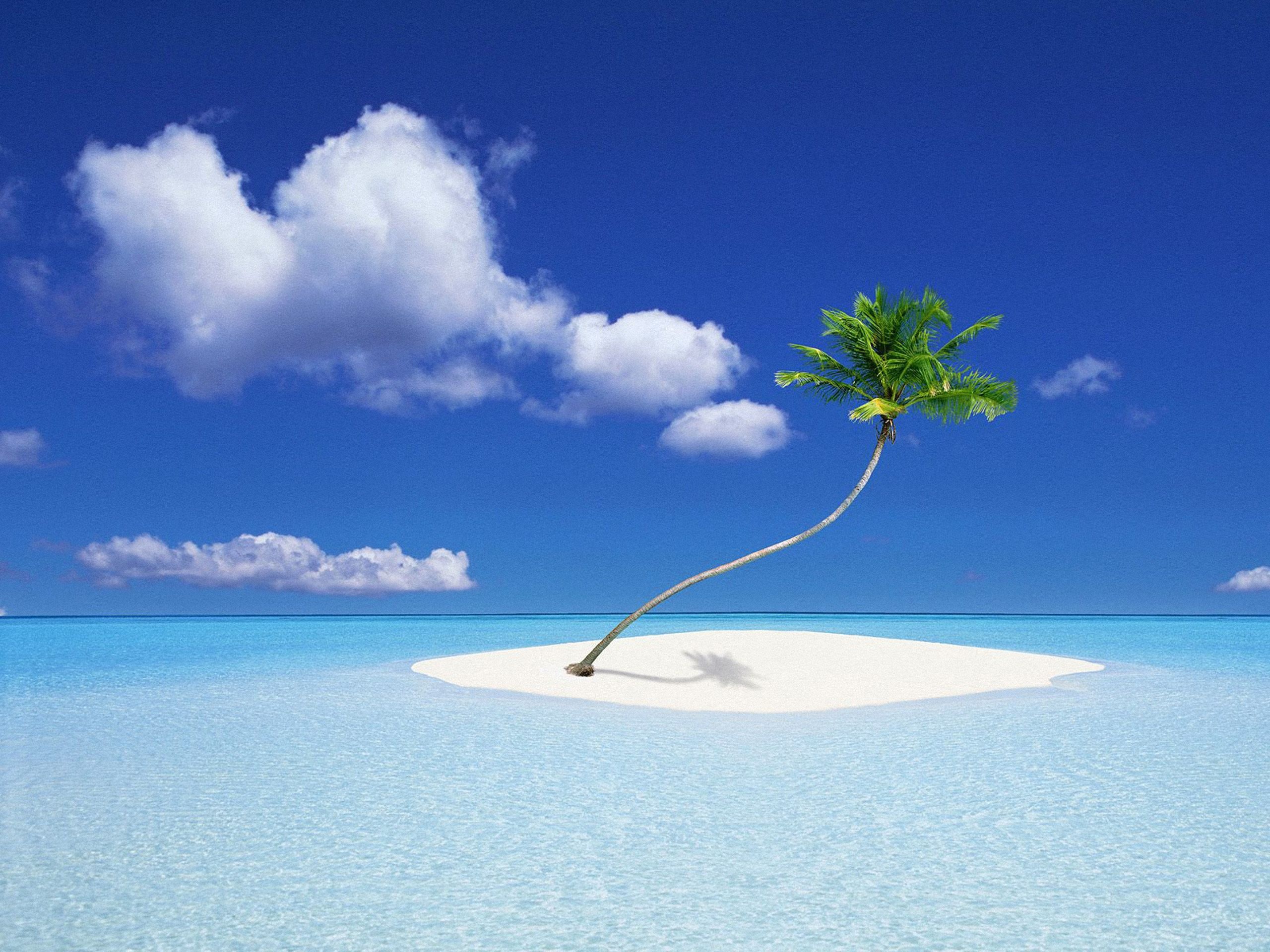 Bora Bora: Beach, Palm island, Scenery. 2560x1920 HD Background.