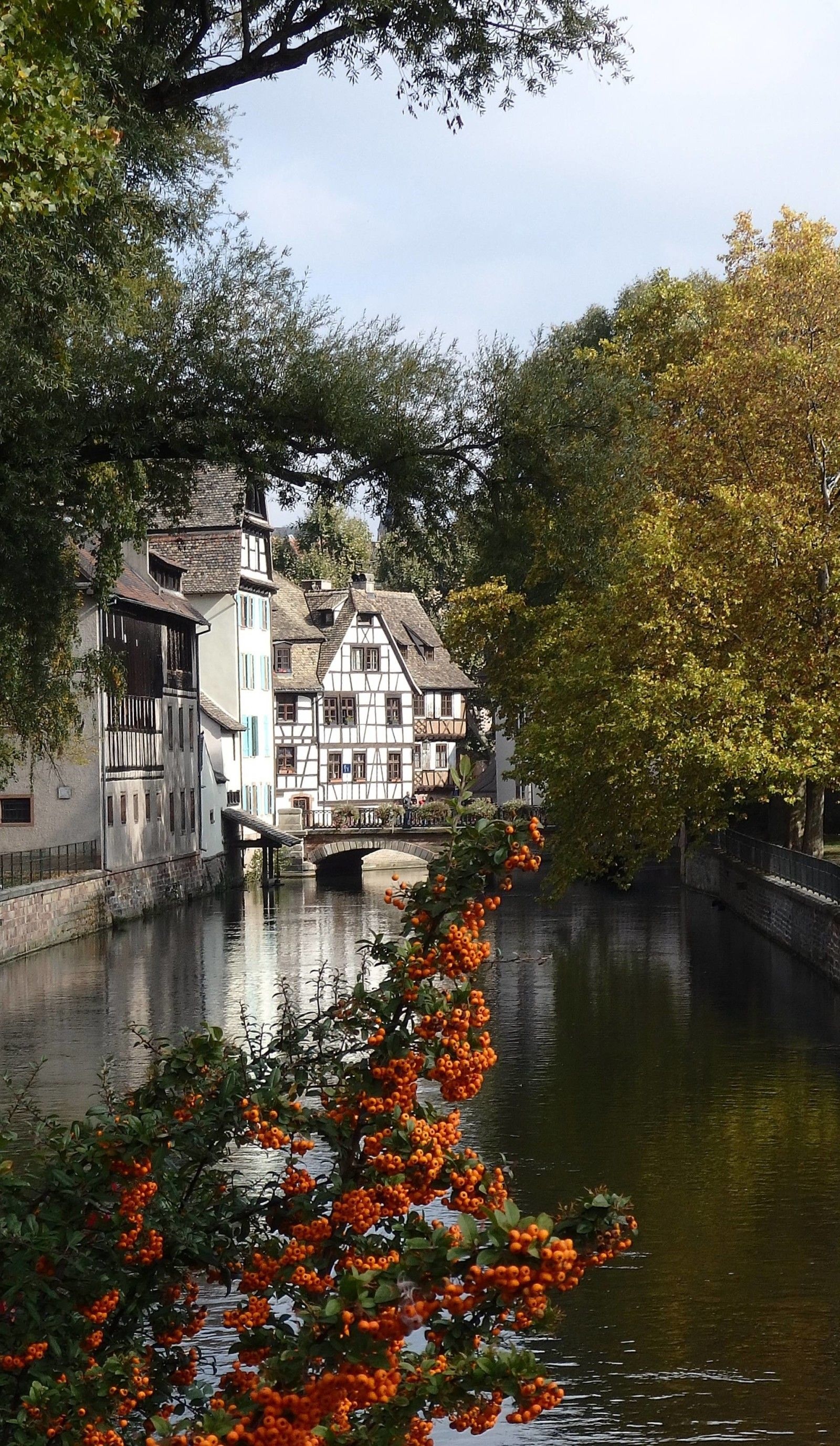 Strasbourg, Famous tourist spot, Natural wonders, Stunning landscapes, 1600x2760 HD Phone