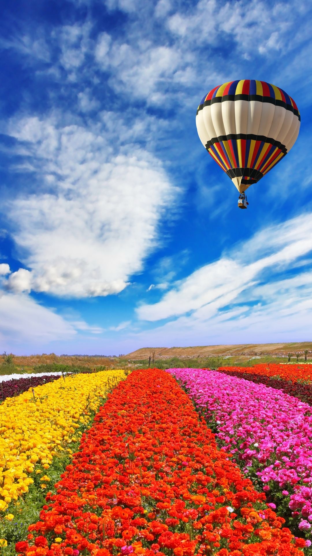 Air Sports: An unpressurized balloon floating around the flower field, Unpressurized aircraft. 1080x1920 Full HD Background.