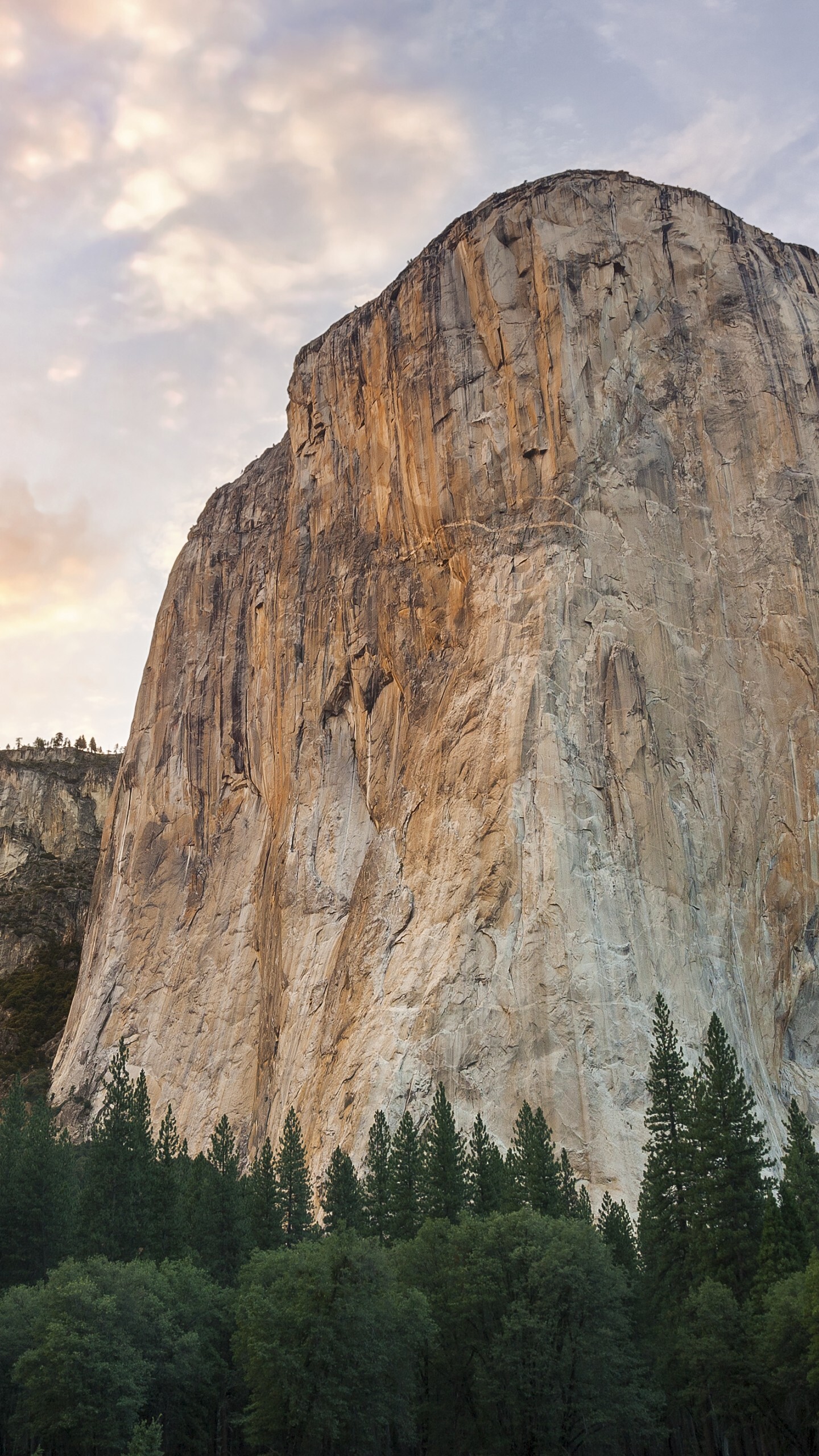 Geology: El Capitan, Forest, Mountains, Sunset, Nature, Yosemite National Park. 1440x2560 HD Wallpaper.