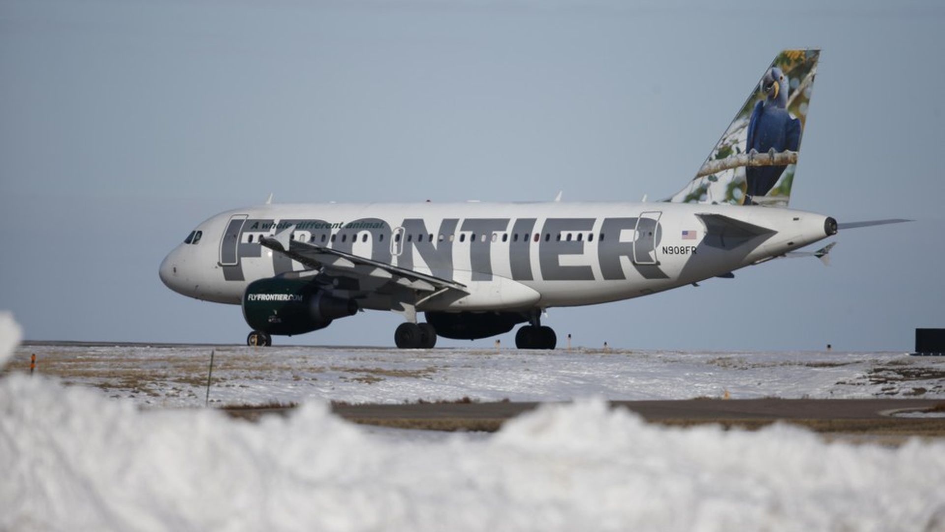 Frontier Airlines flight, Exclusive deals, Frontier Airlines, Call 1 888, 1920x1080 Full HD Desktop