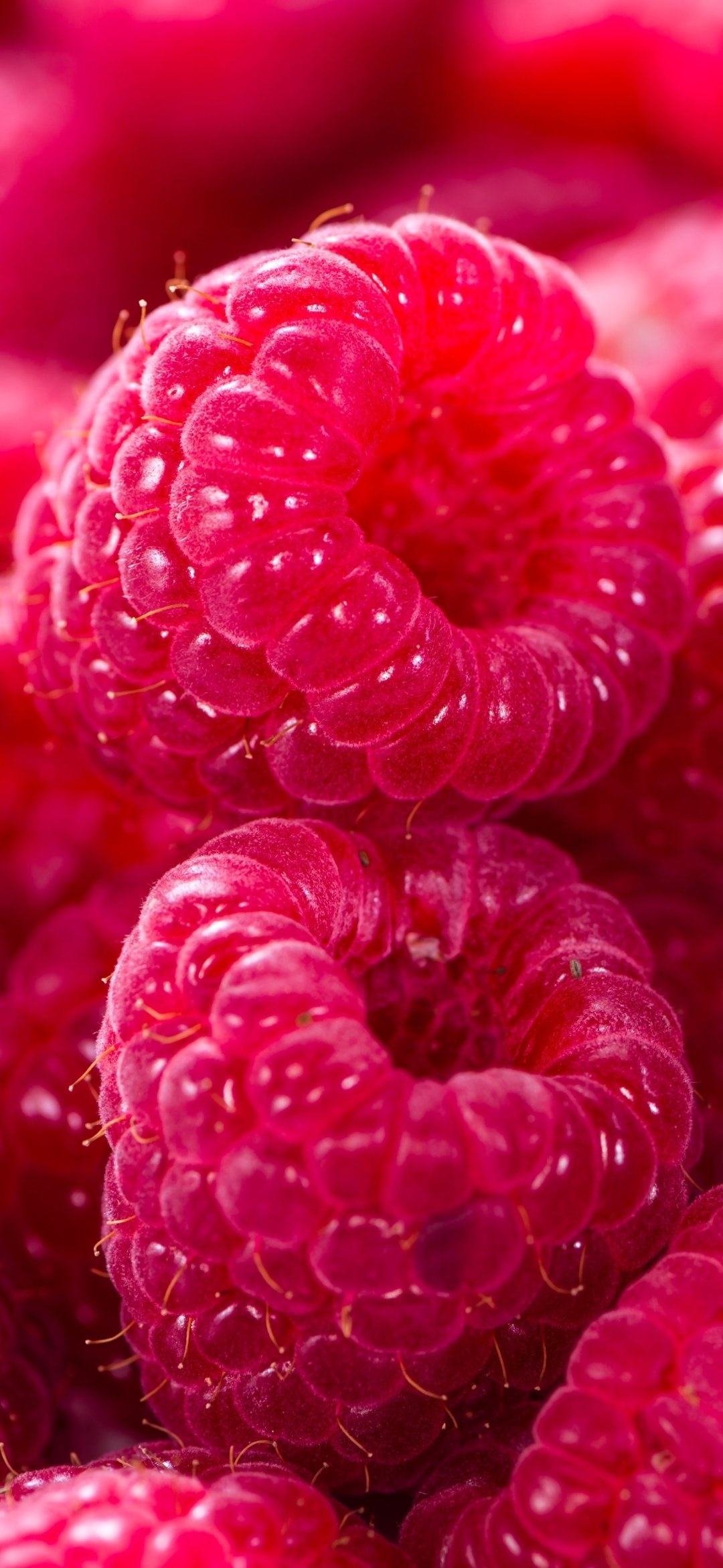 Food, Raspberry, Background images, 1080x2340 HD Phone